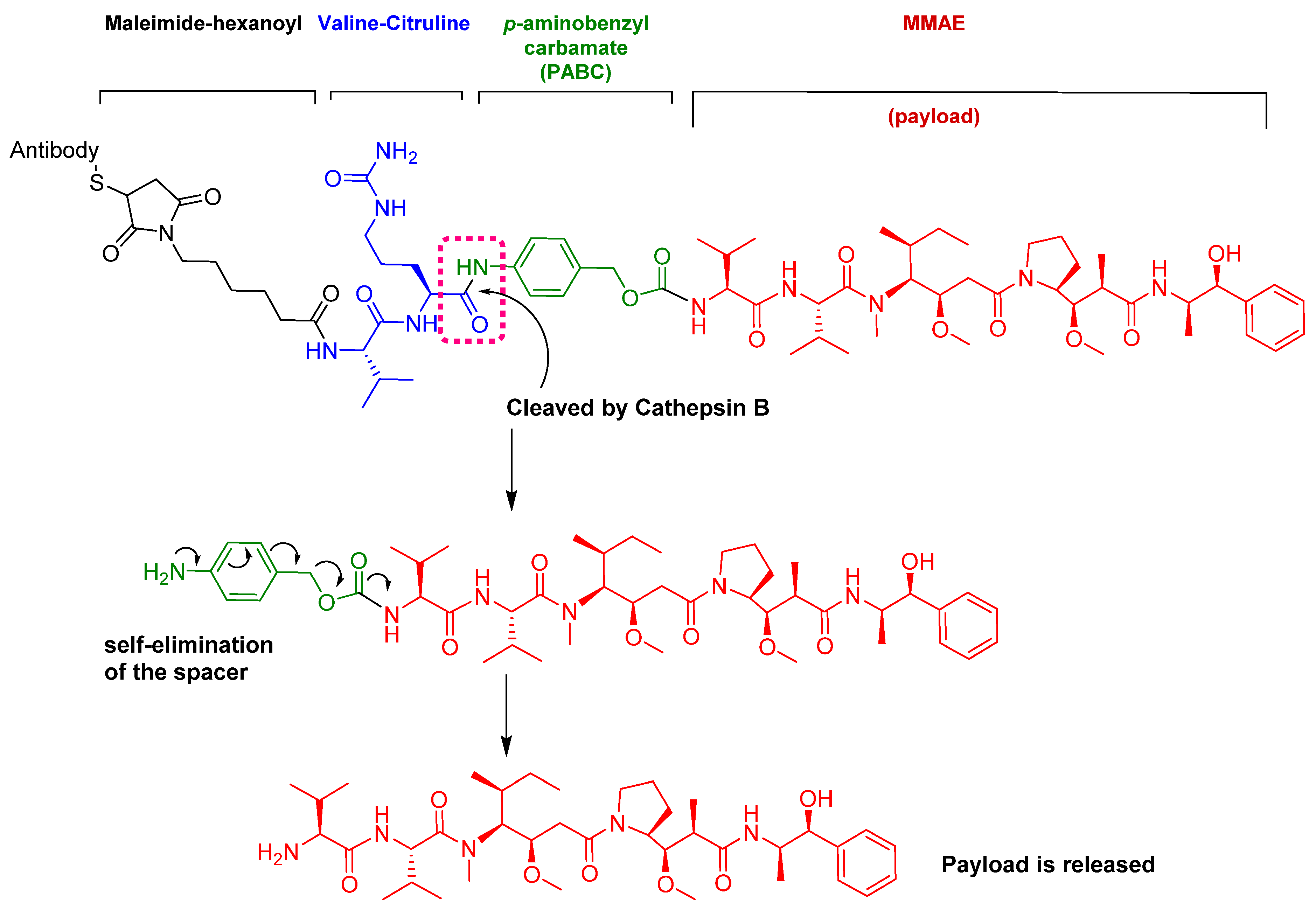Pharmaceuticals 13 00040 g009