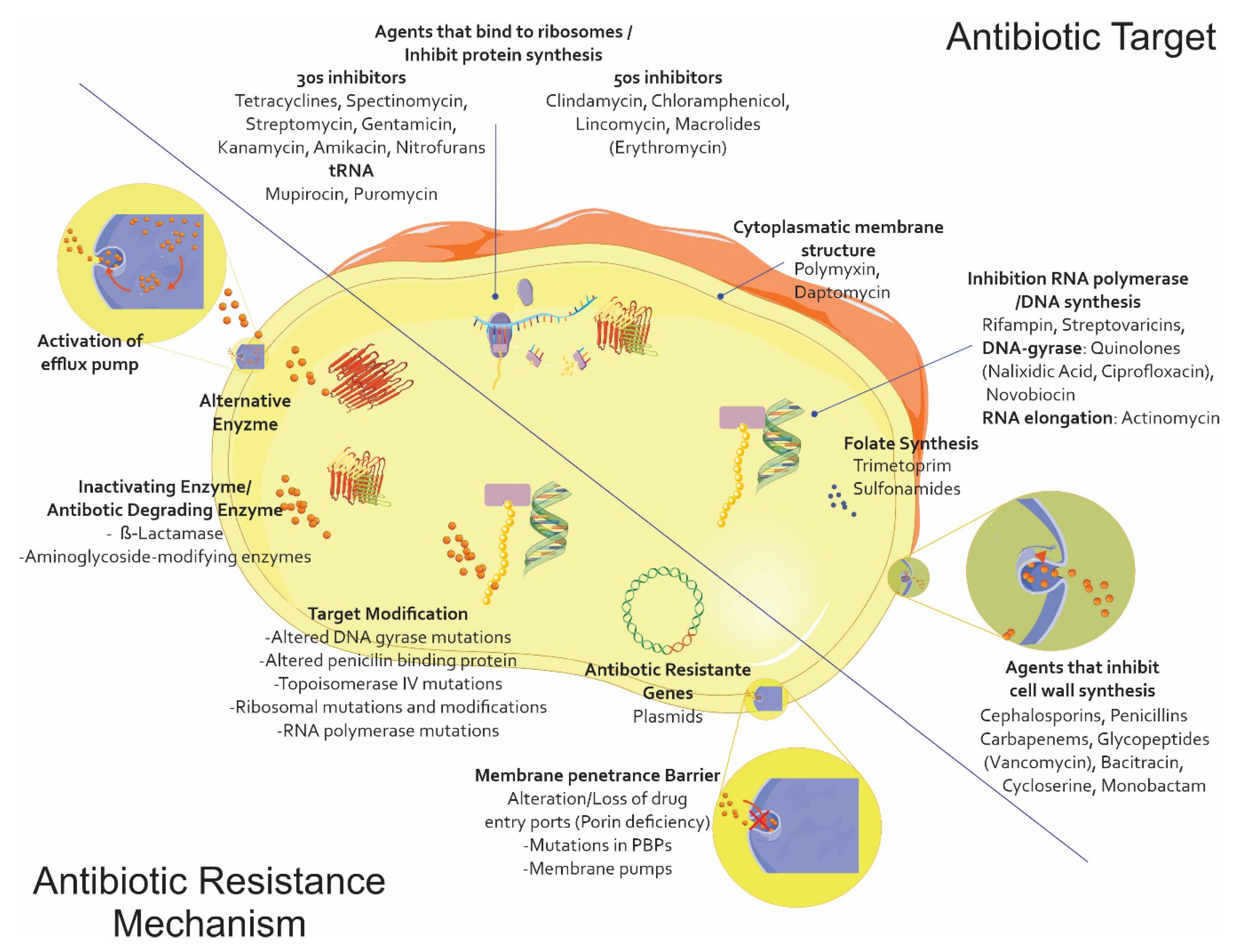 Pharmaceuticals 13 00042 g001 Pharmaceuticals 13 00042 g001