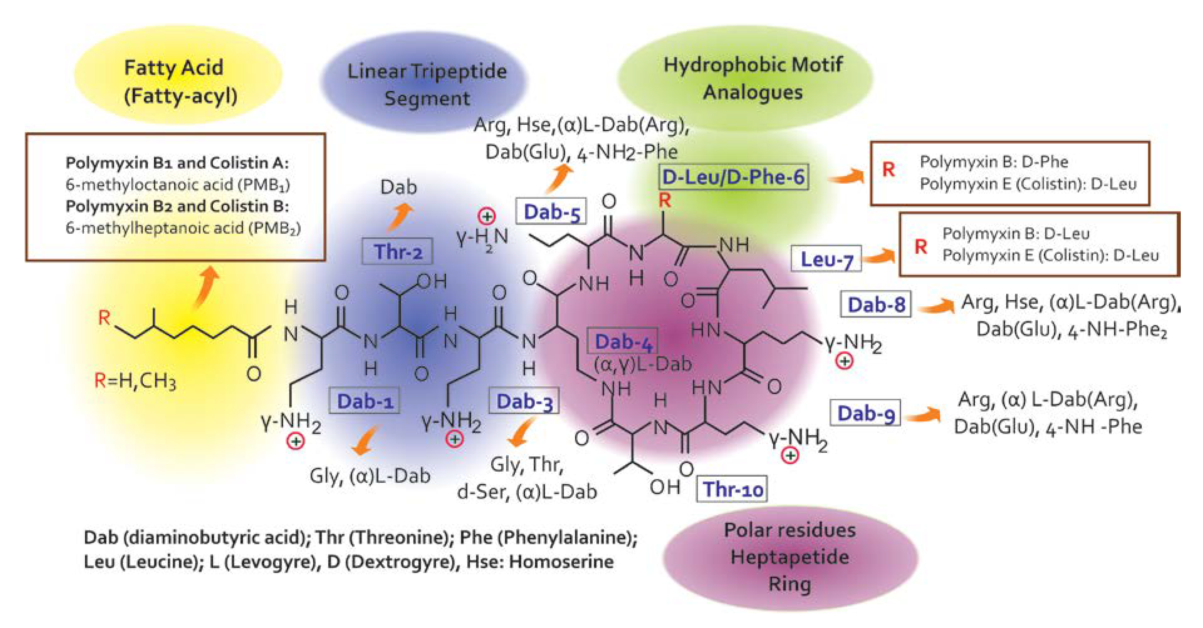 Pharmaceuticals 13 00042 g002 Pharmaceuticals 13 00042 g002