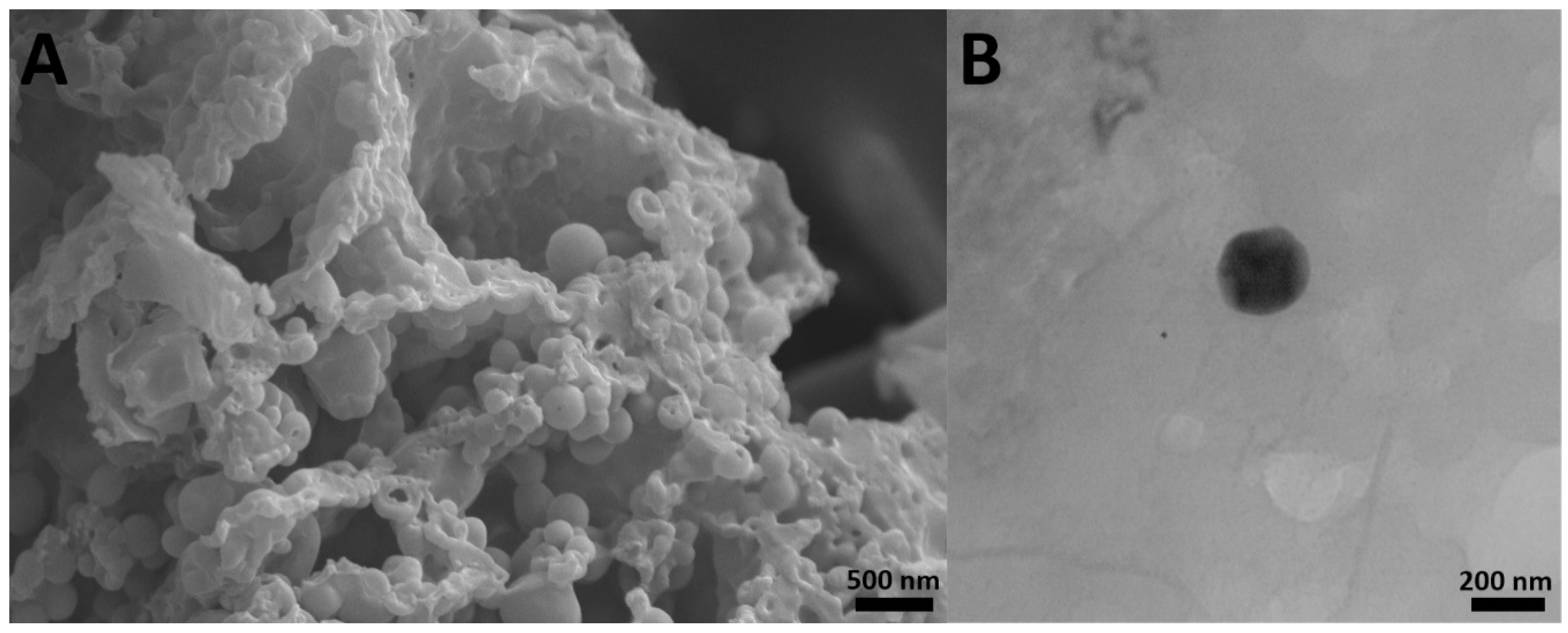 Pharmaceuticals 13 00044 g002