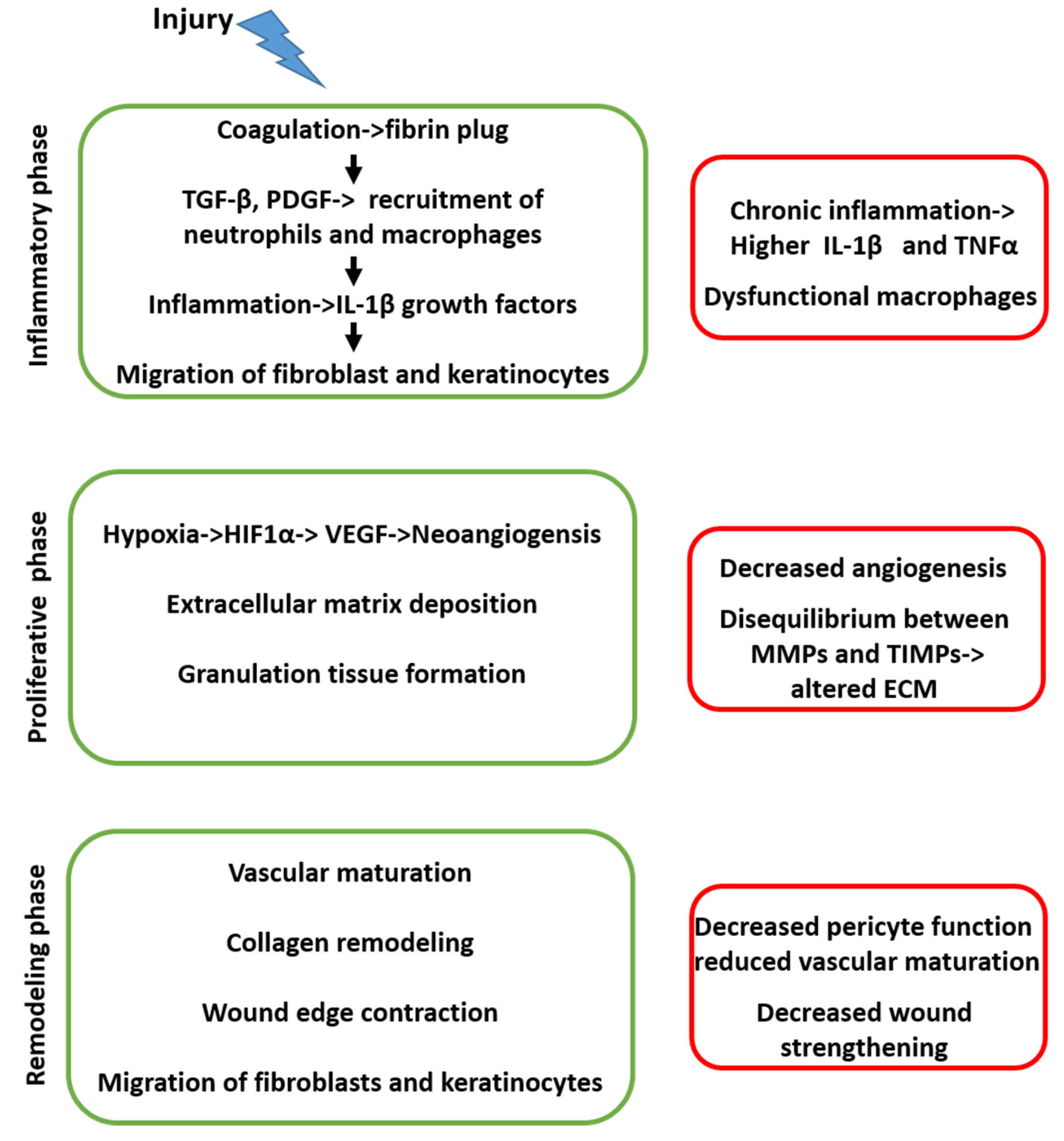 Pharmaceuticals 13 00060 g001