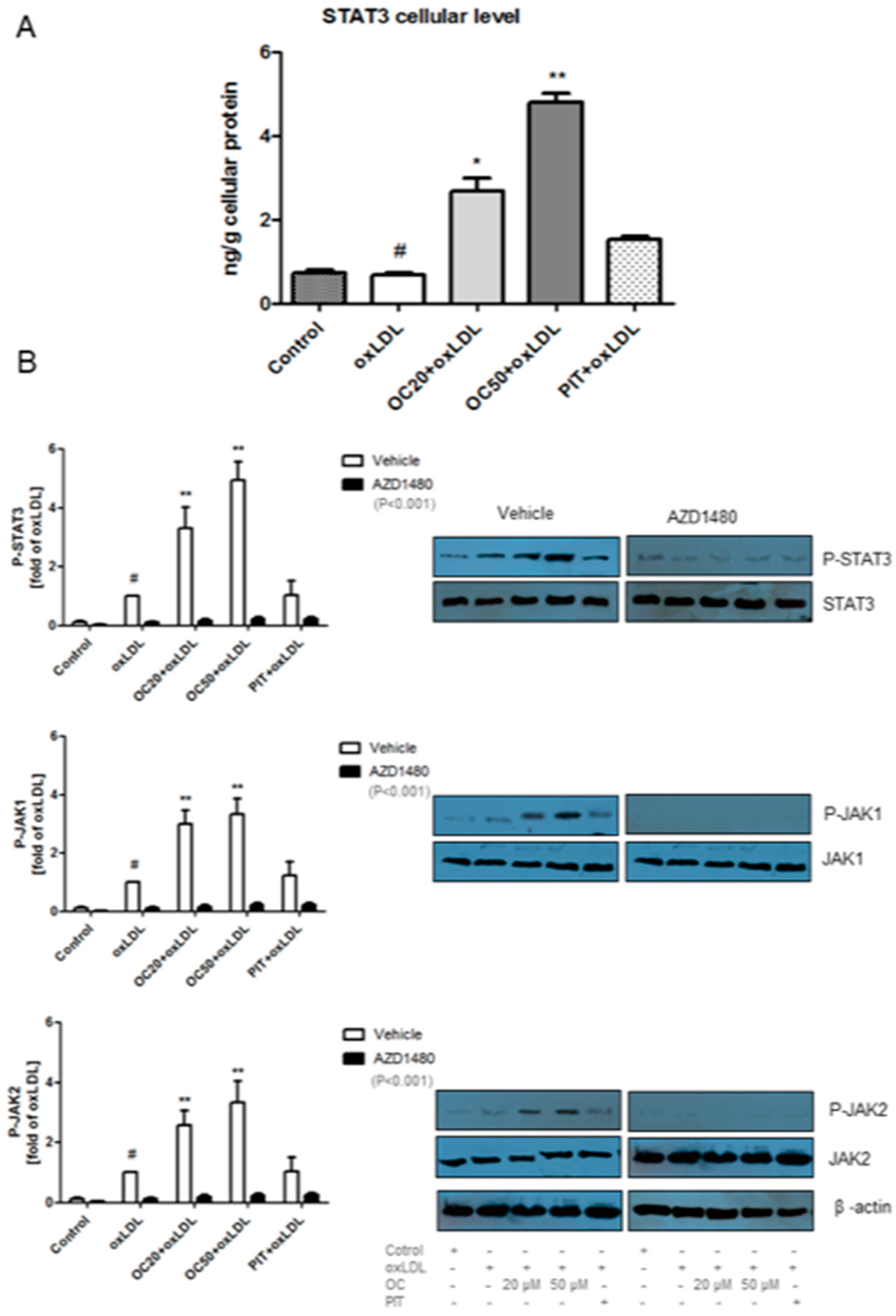 Pharmaceuticals 13 00064 g005 Pharmaceuticals 13 00064 g005