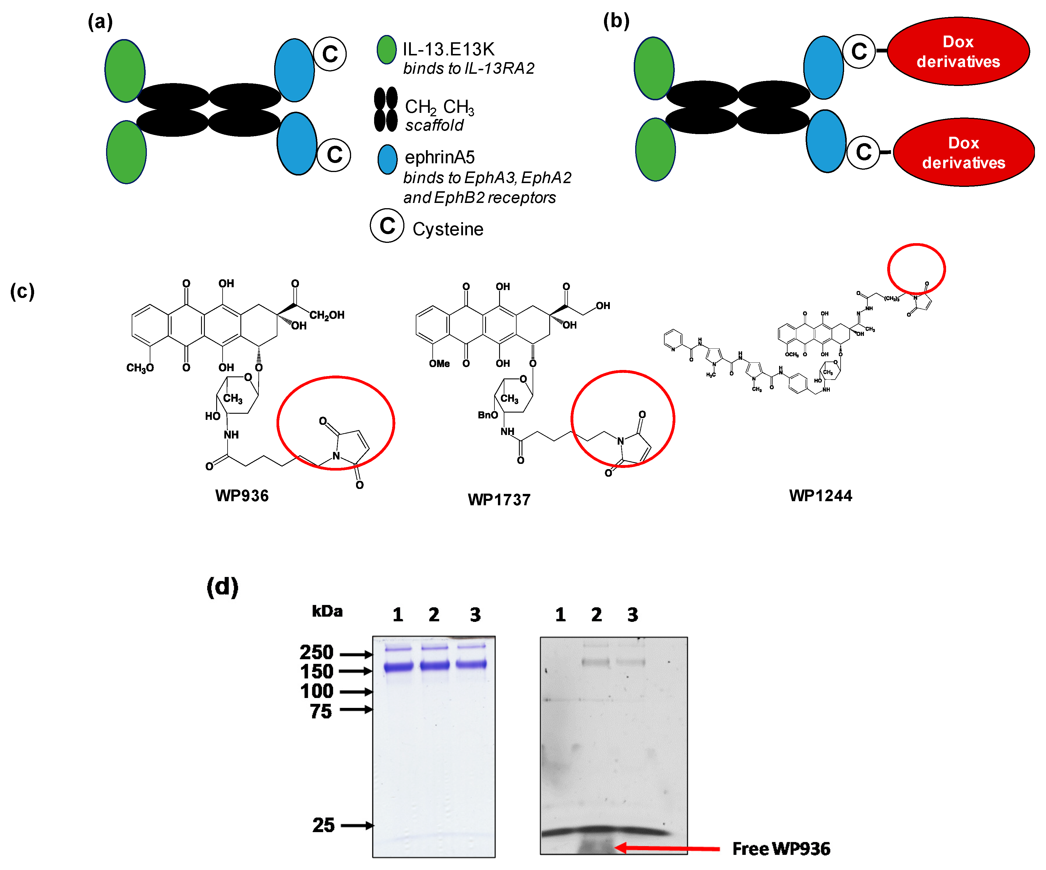 Pharmaceuticals 13 00077 g001