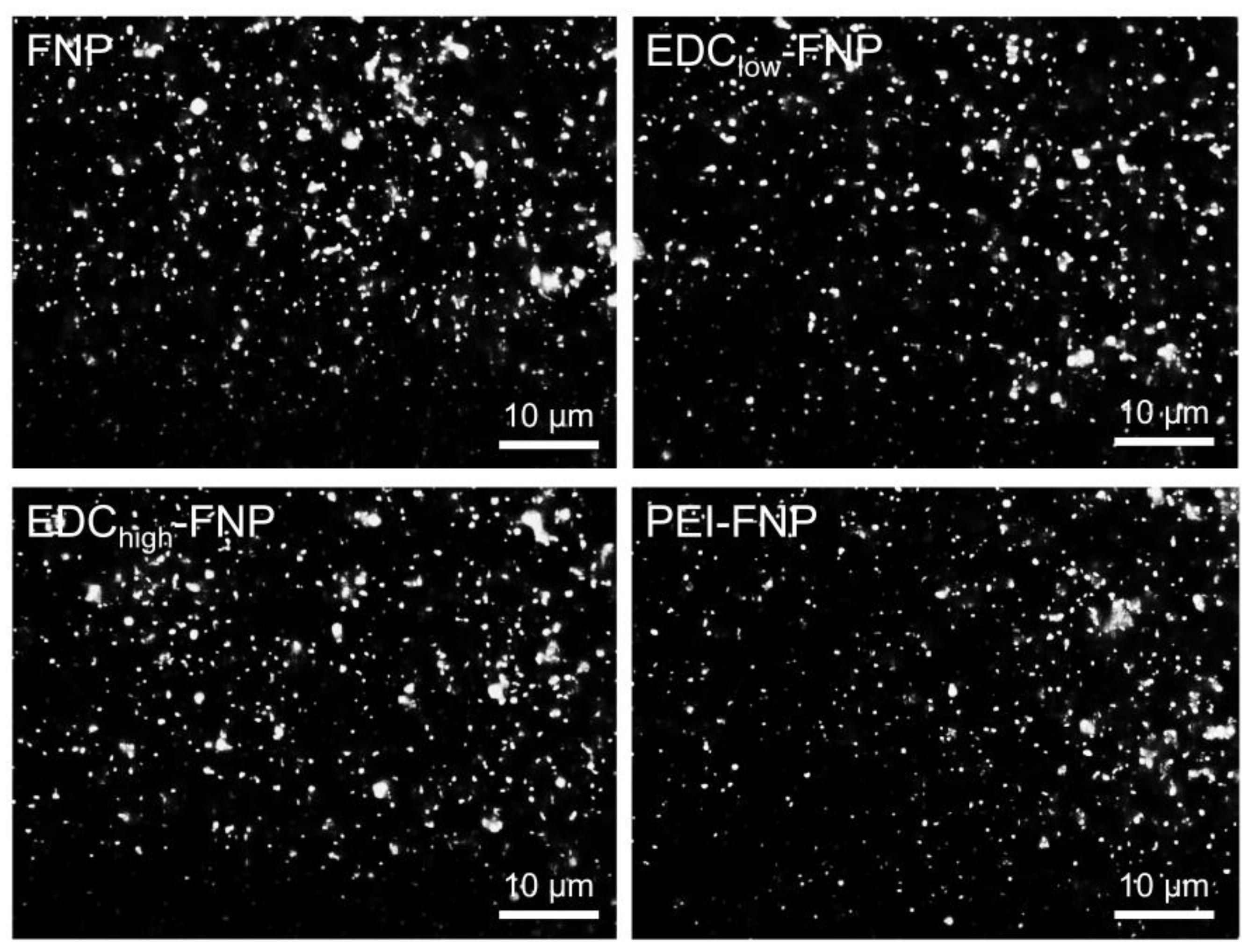 Pharmaceuticals 13 00086 g001