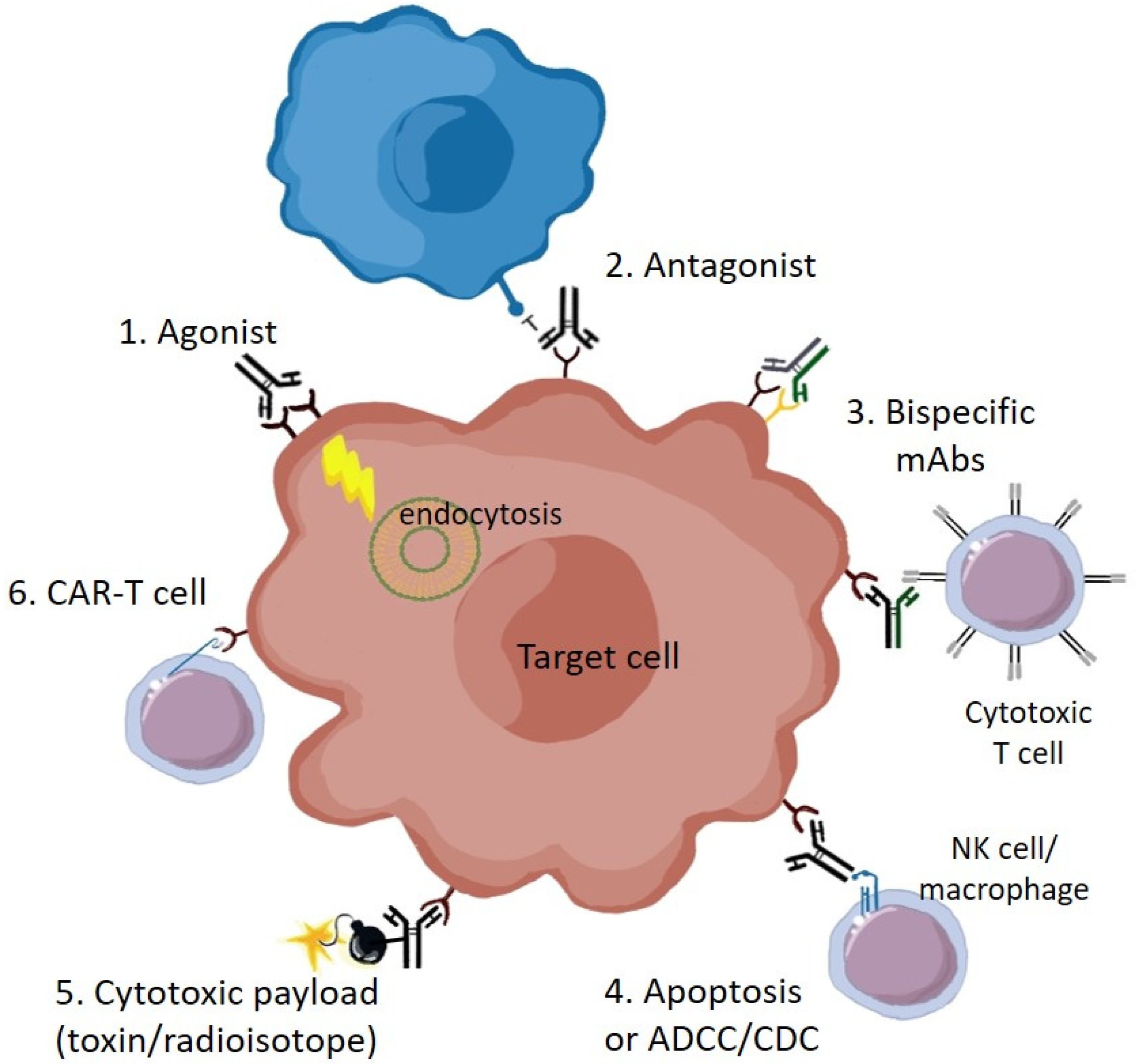 Pharmaceuticals 13 00088 g001
