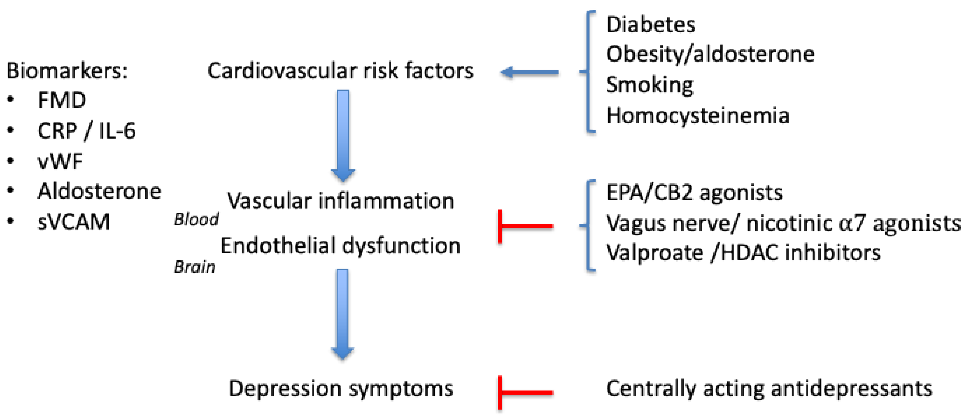 Pharmaceuticals 13 00092 g002 Pharmaceuticals 13 00092 g002