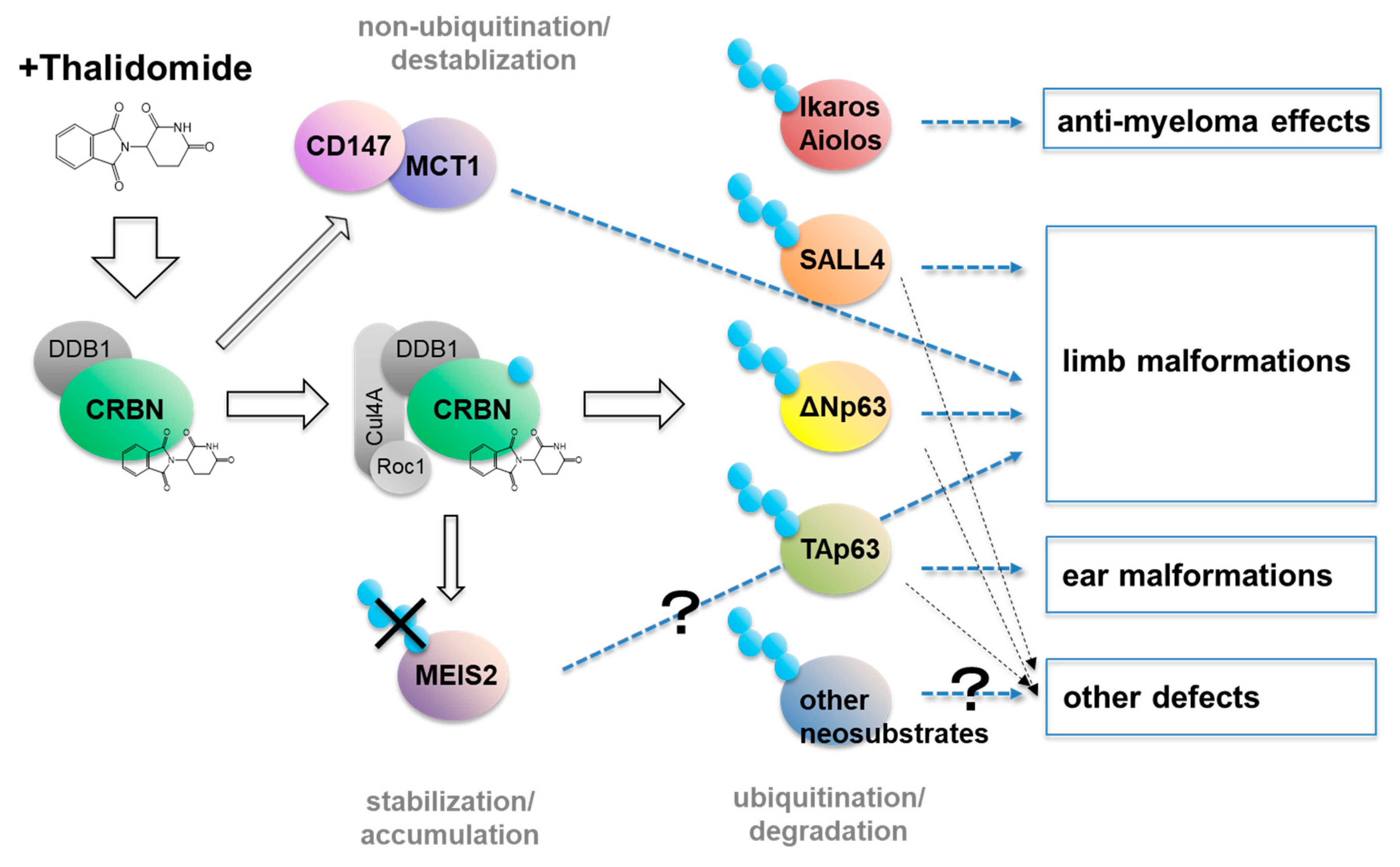 Pharmaceuticals 13 00095 g002