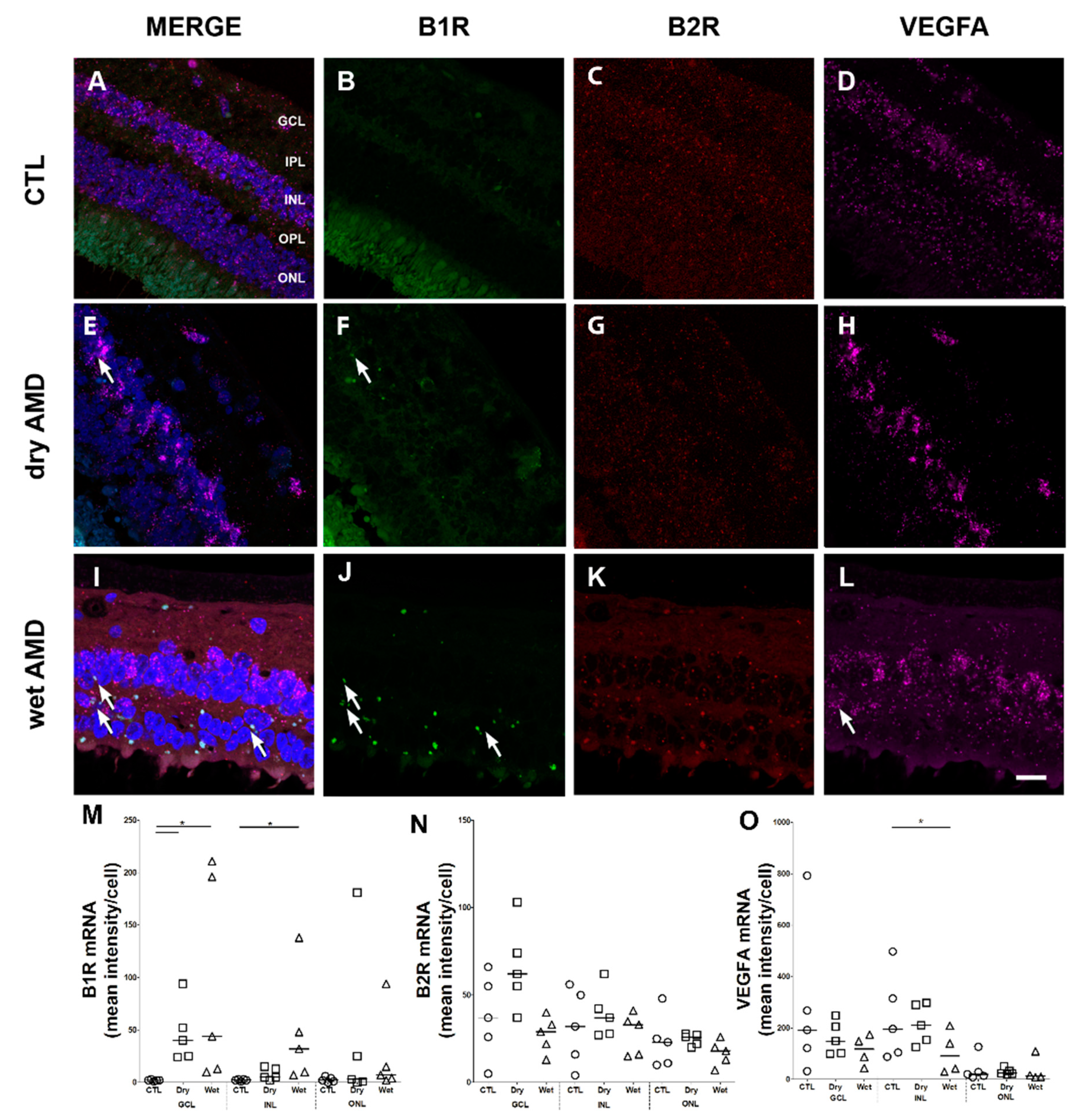 Pharmaceuticals 13 00130 g001