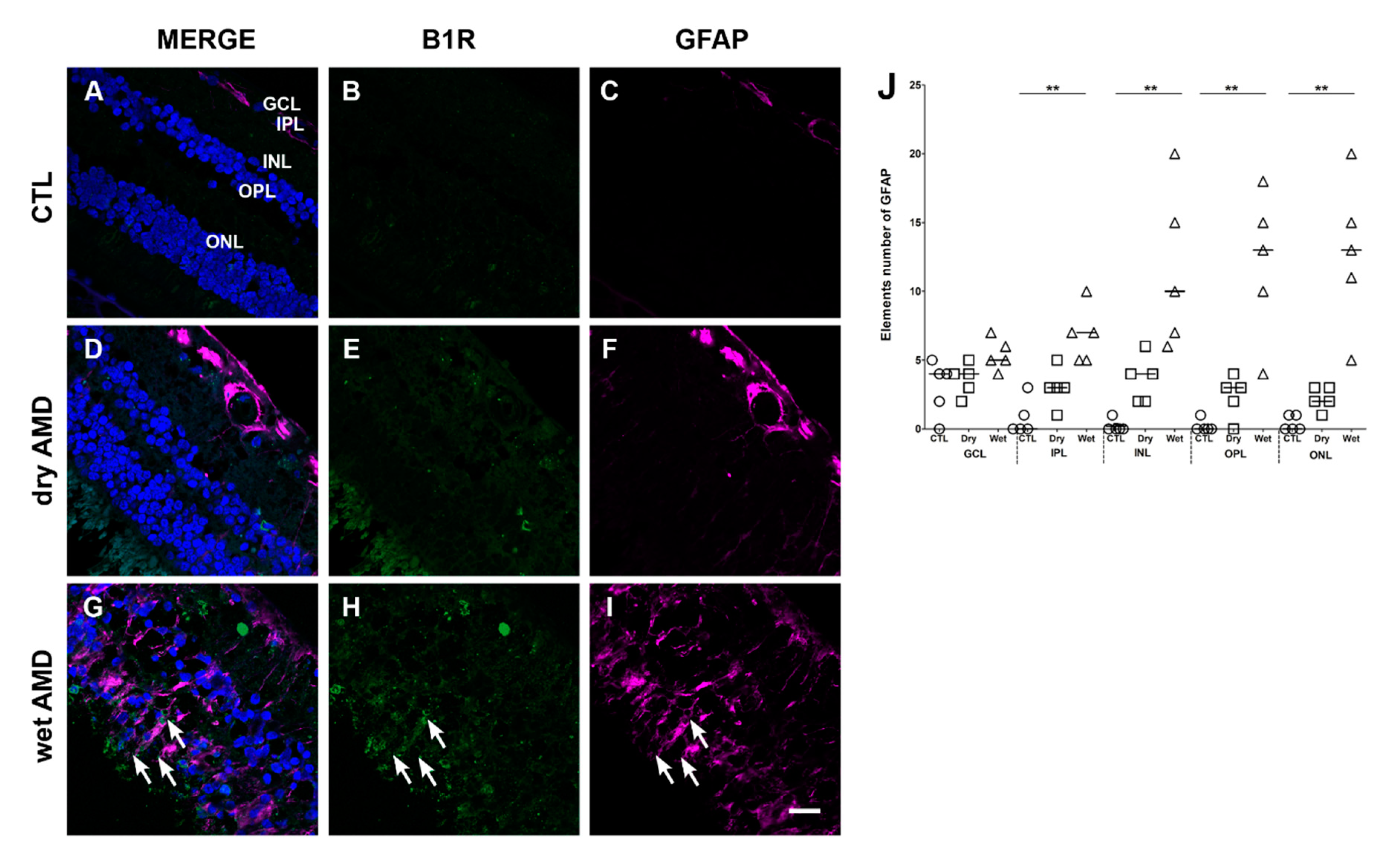 Pharmaceuticals 13 00130 g004