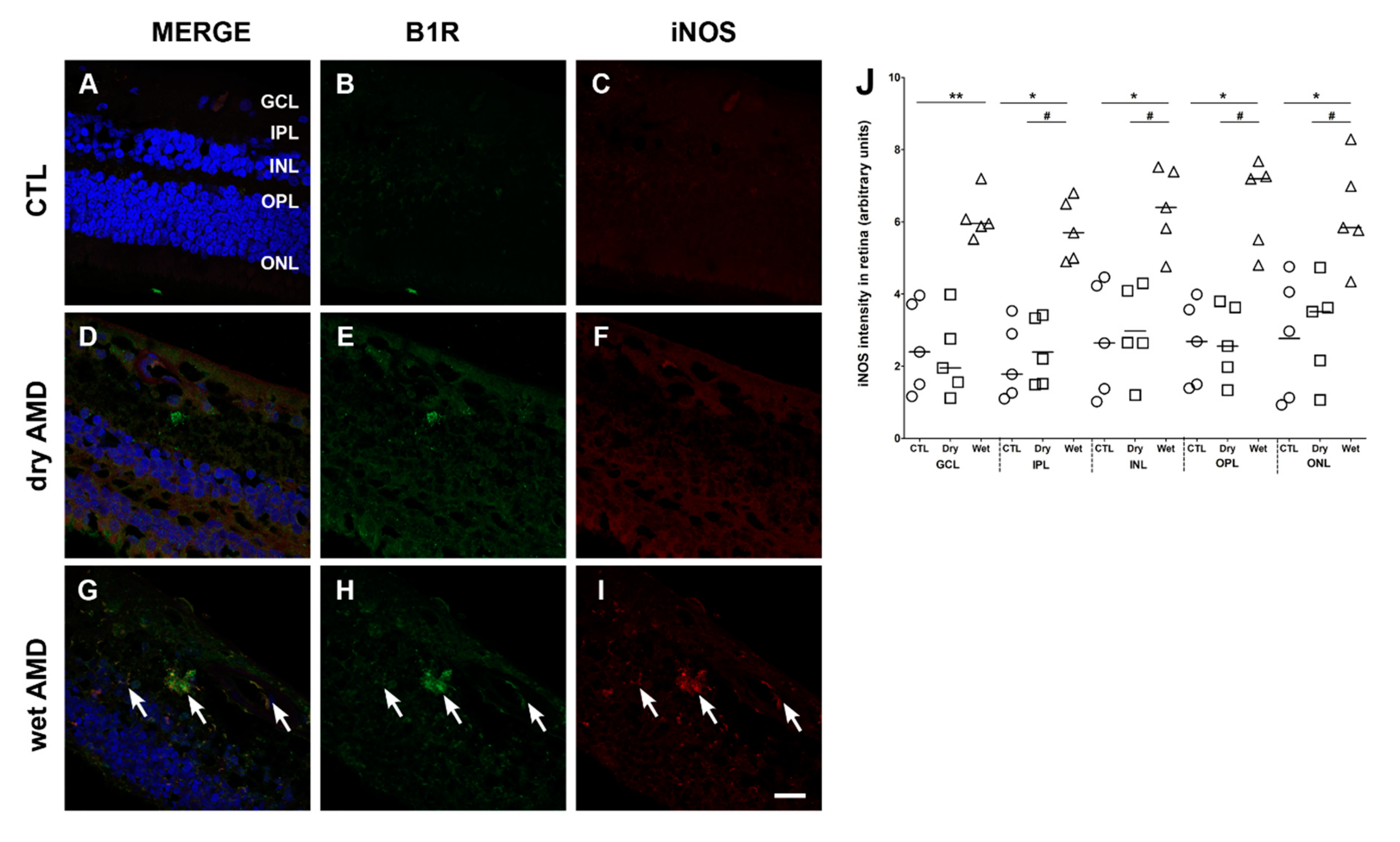 Pharmaceuticals 13 00130 g006
