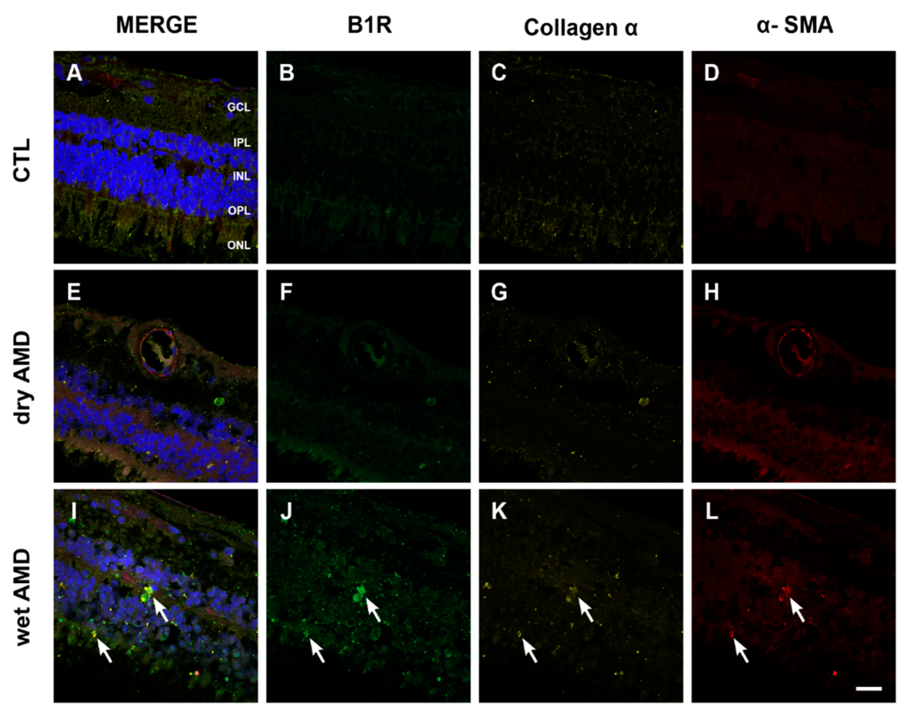 Pharmaceuticals 13 00130 g007