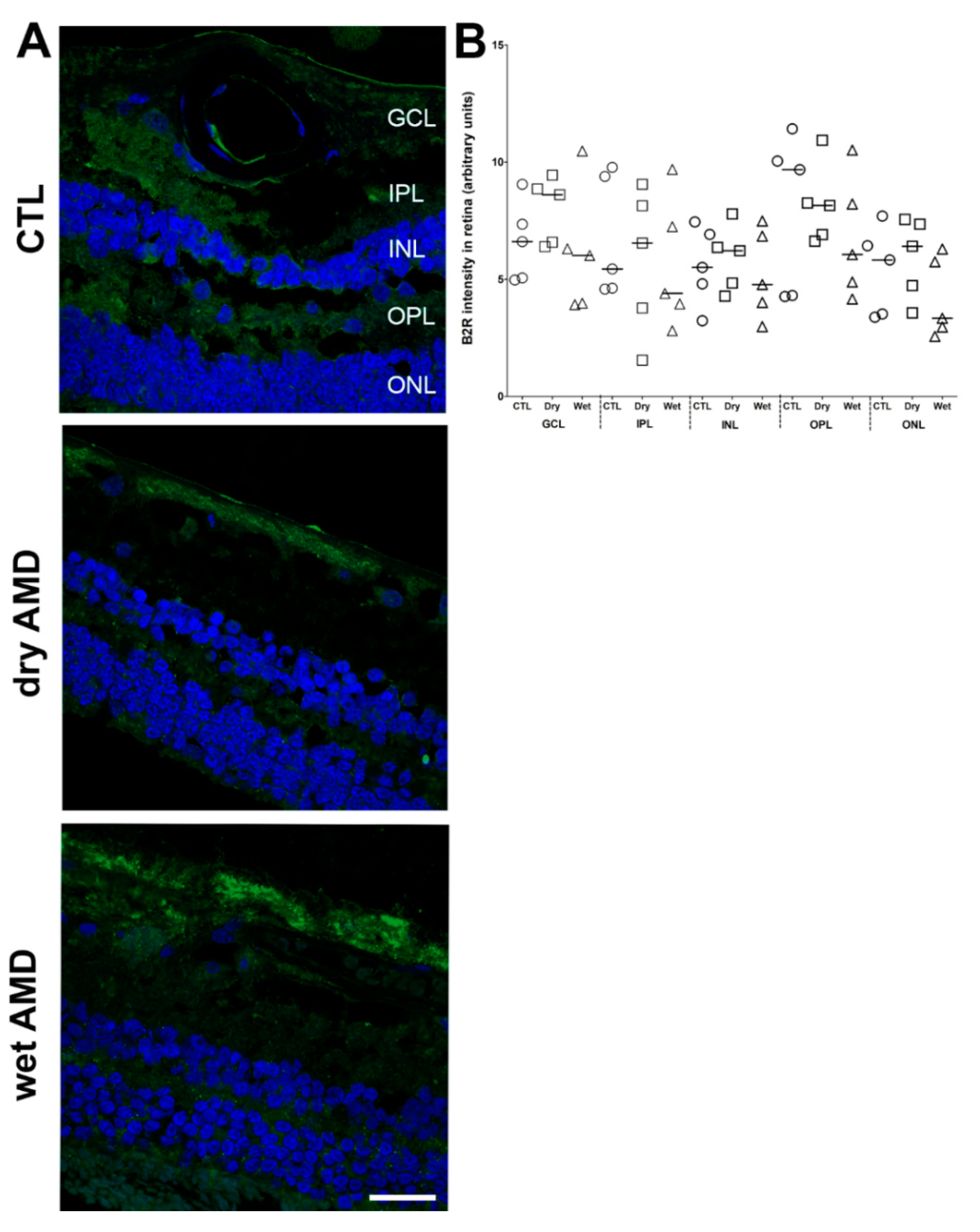 Pharmaceuticals 13 00130 g008