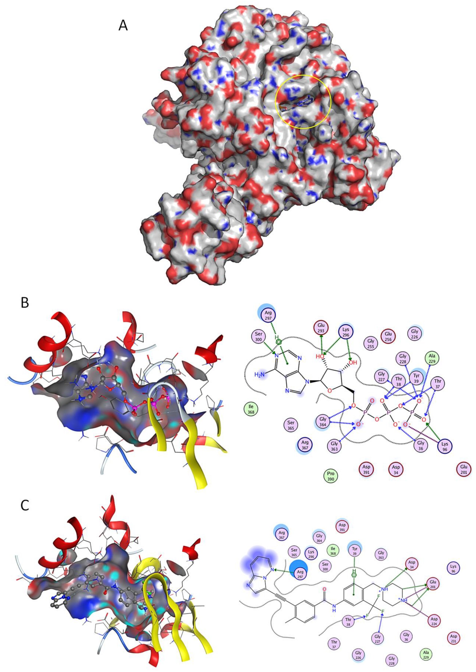 Pharmaceuticals 13 00132 g001