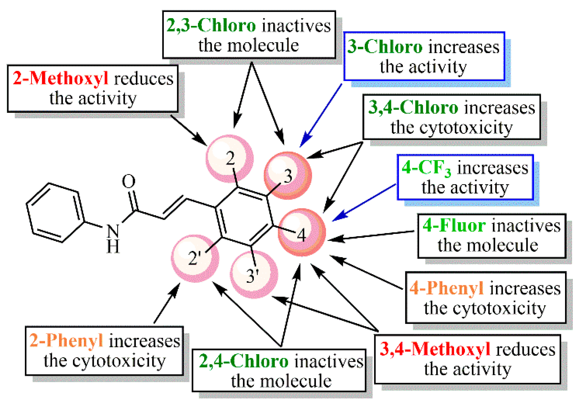 Pharmaceuticals 13 00141 g007 Pharmaceuticals 13 00141 g007