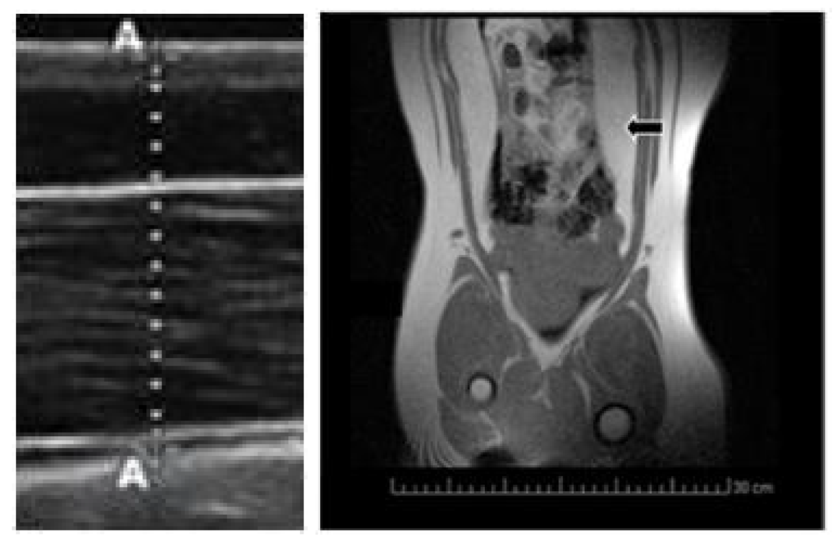 Pharmaceuticals 13 00142 g003