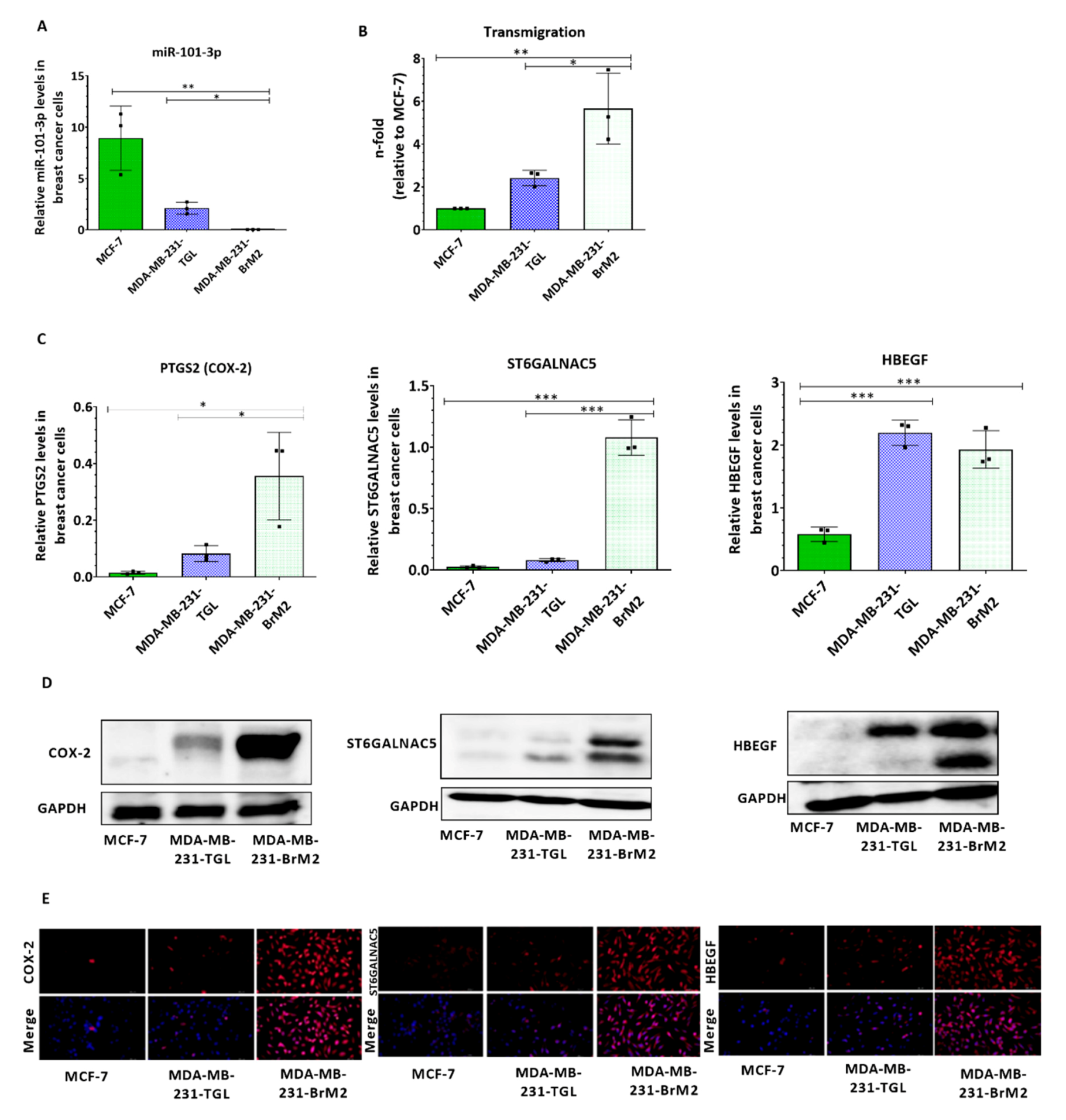 Pharmaceuticals 13 00144 g001