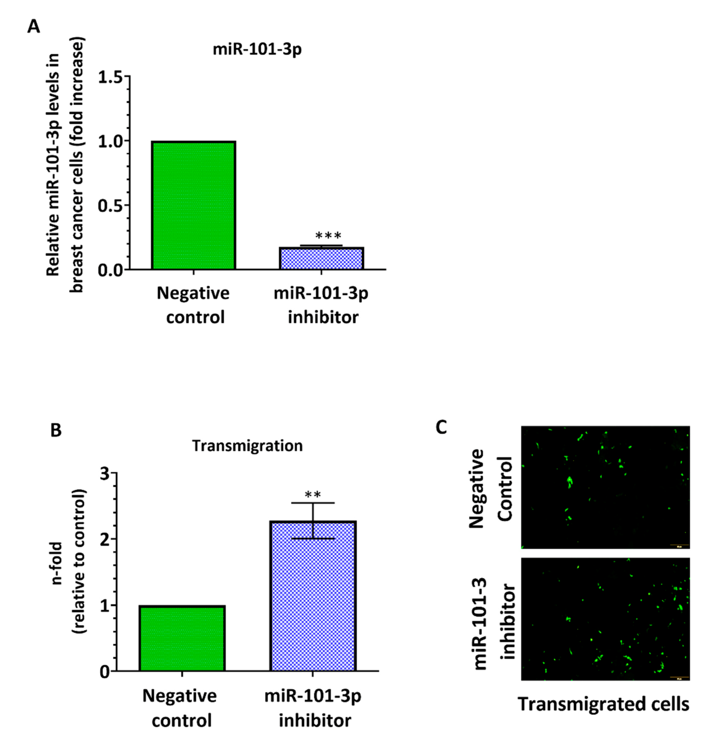 Pharmaceuticals 13 00144 g002