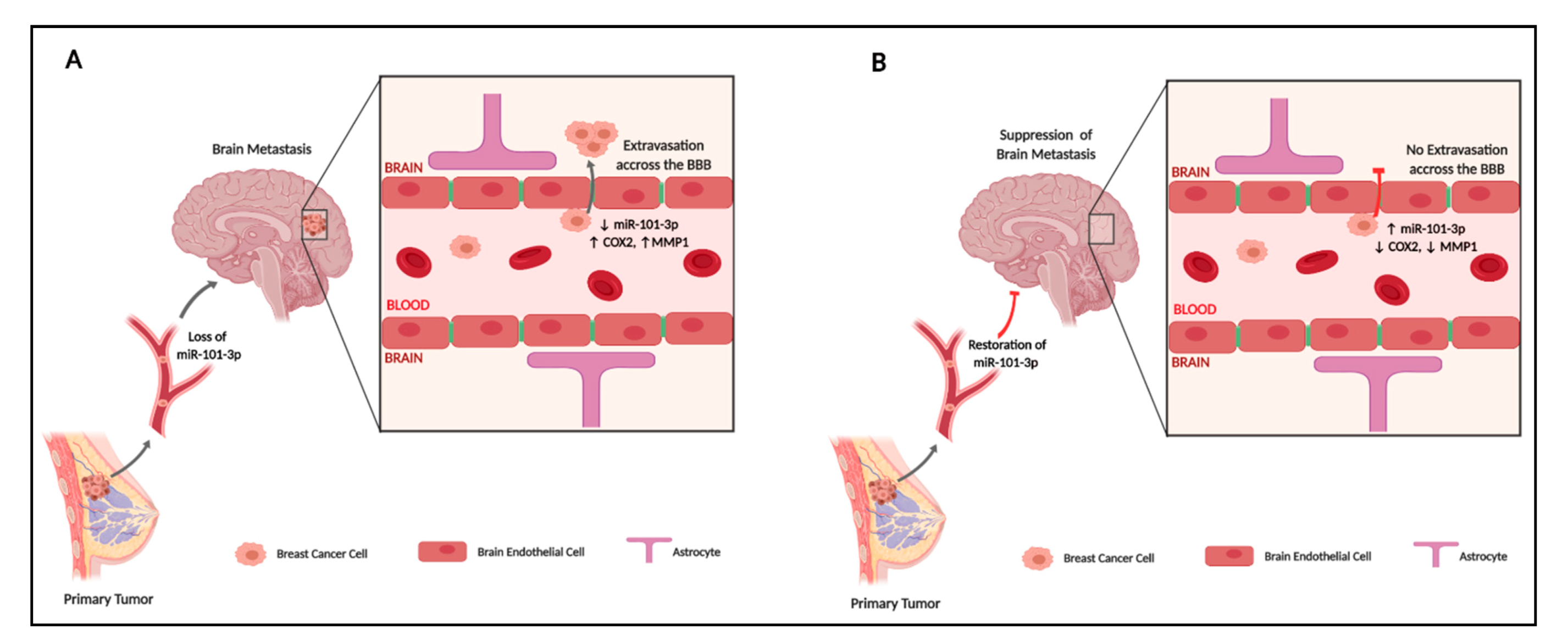 Pharmaceuticals 13 00144 g008