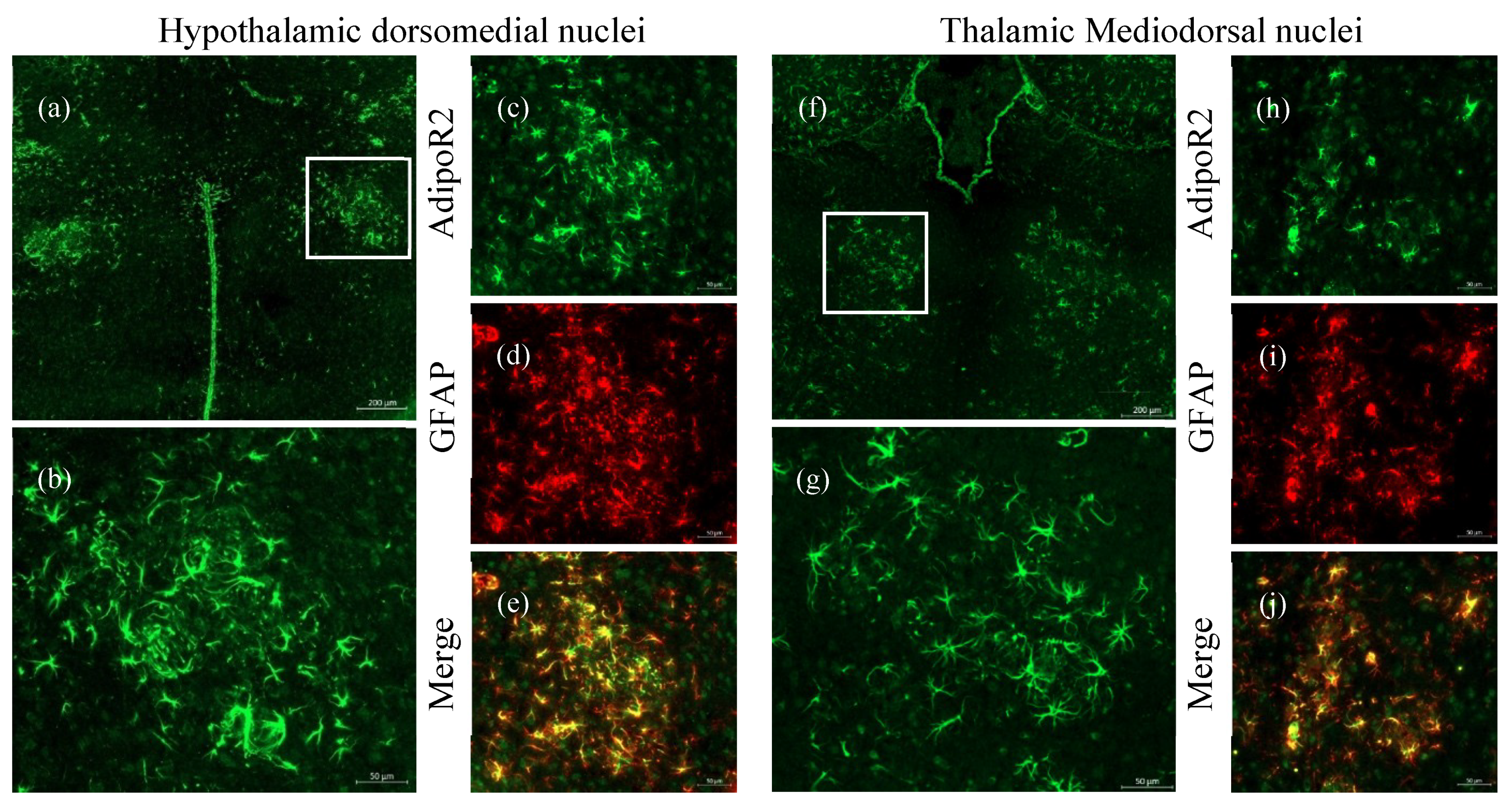 Pharmaceuticals 13 00150 g005