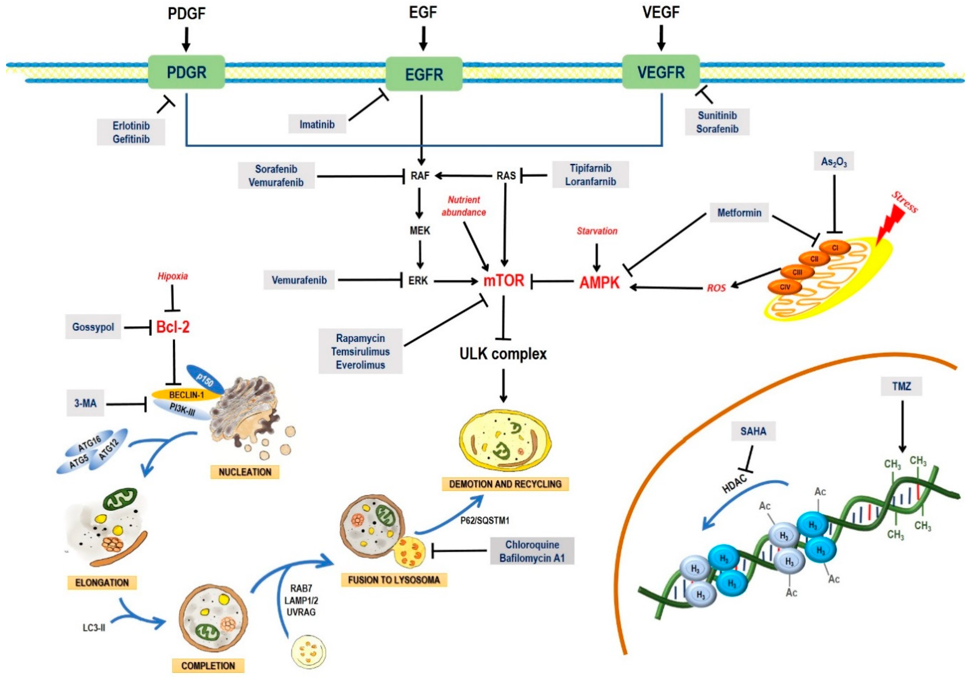 Pharmaceuticals 13 00156 g003