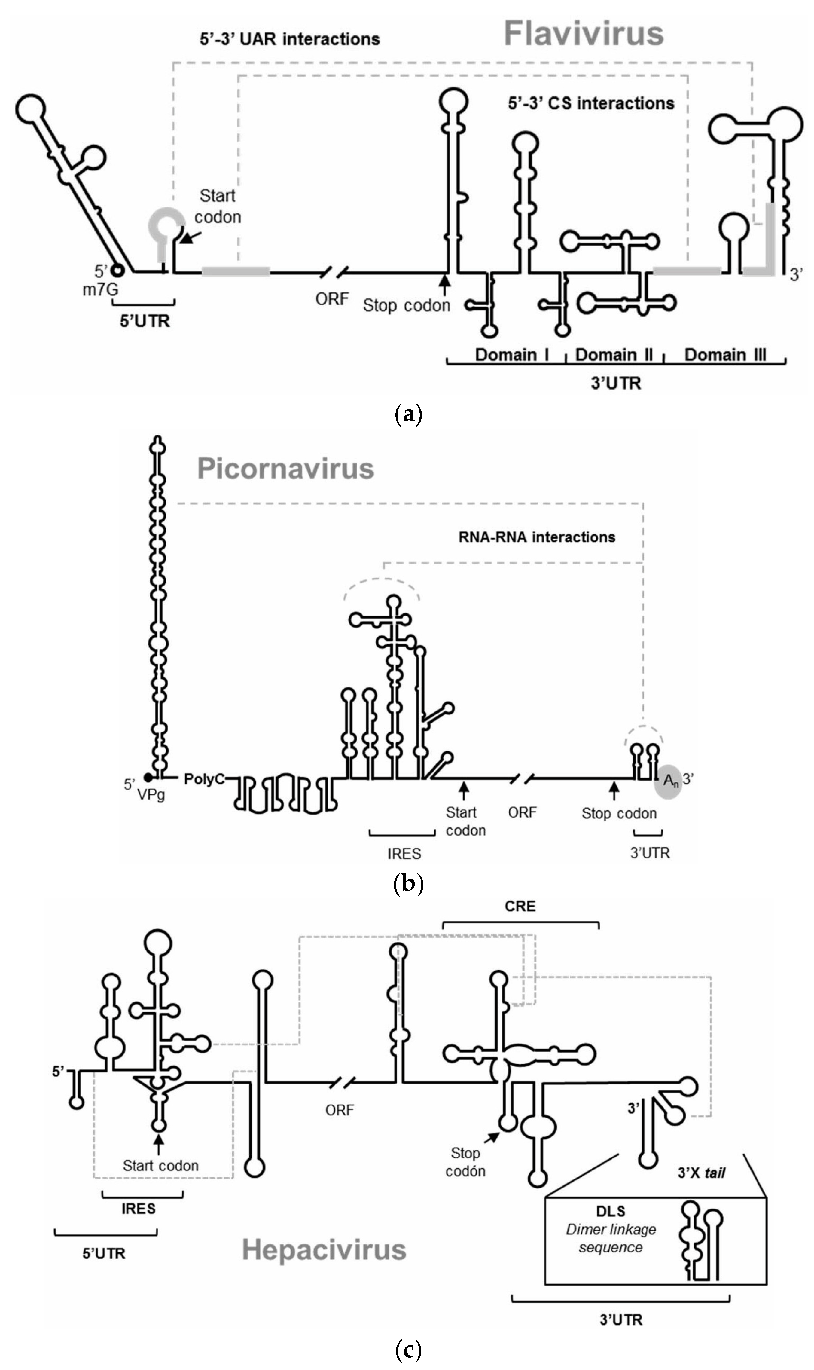 Pharmaceuticals 13 00157 g001