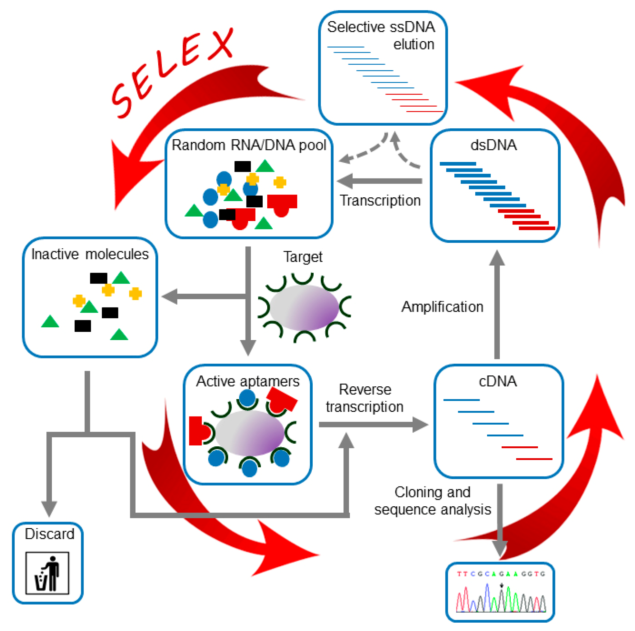 Pharmaceuticals 13 00157 g002
