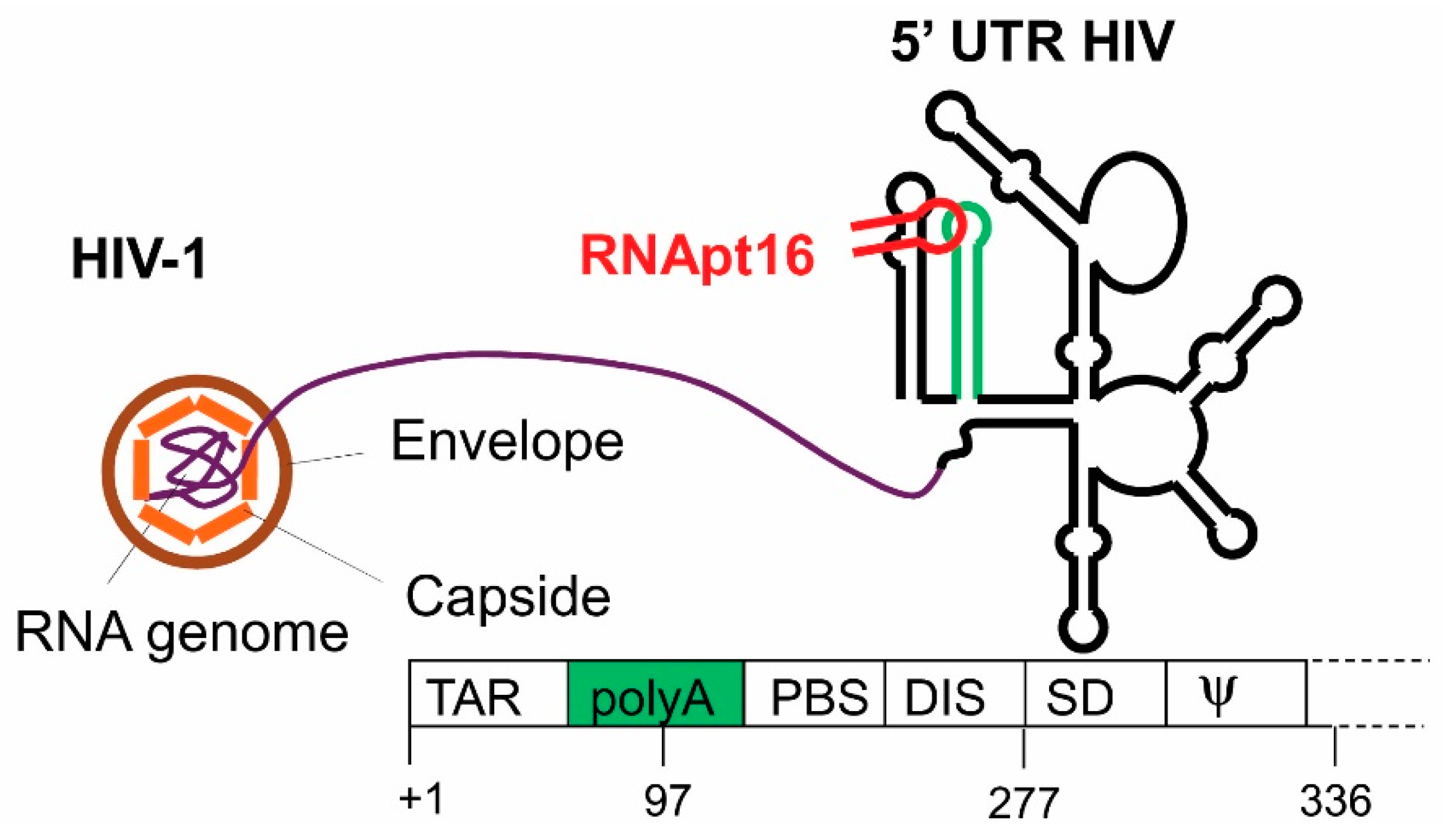 Pharmaceuticals 13 00157 g004