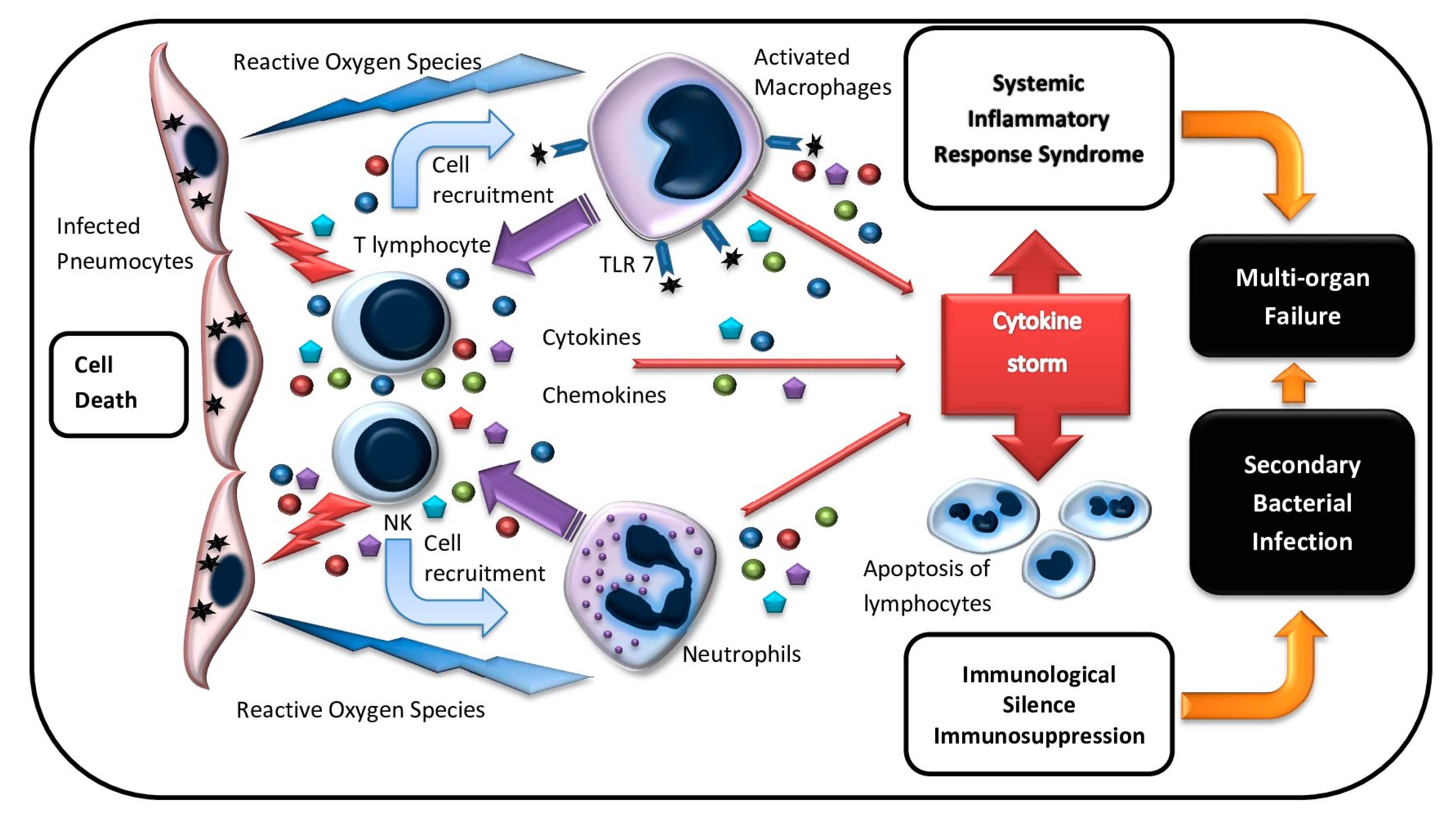 Pharmaceuticals 13 00166 g001