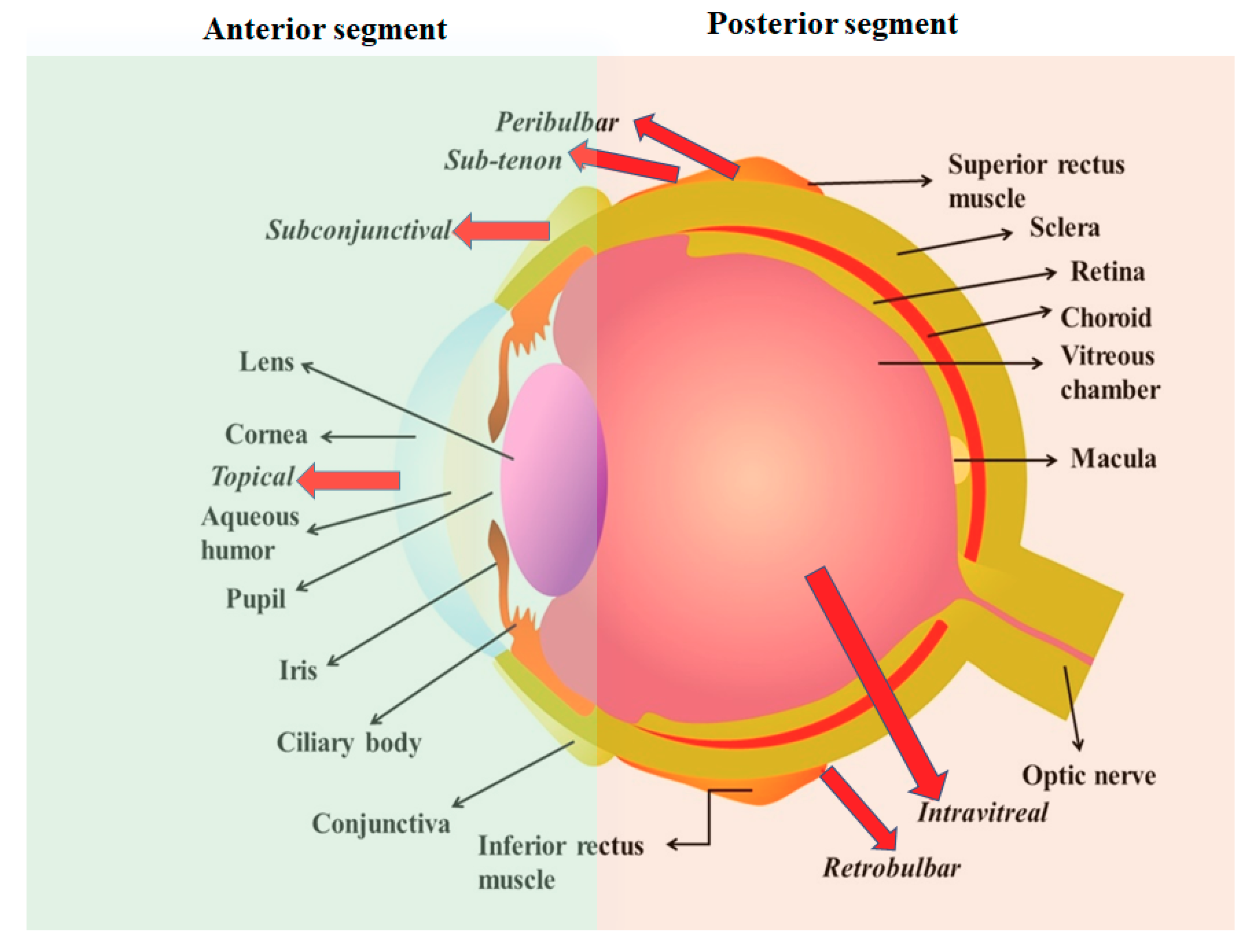 Pharmaceuticals 13 00167 g001