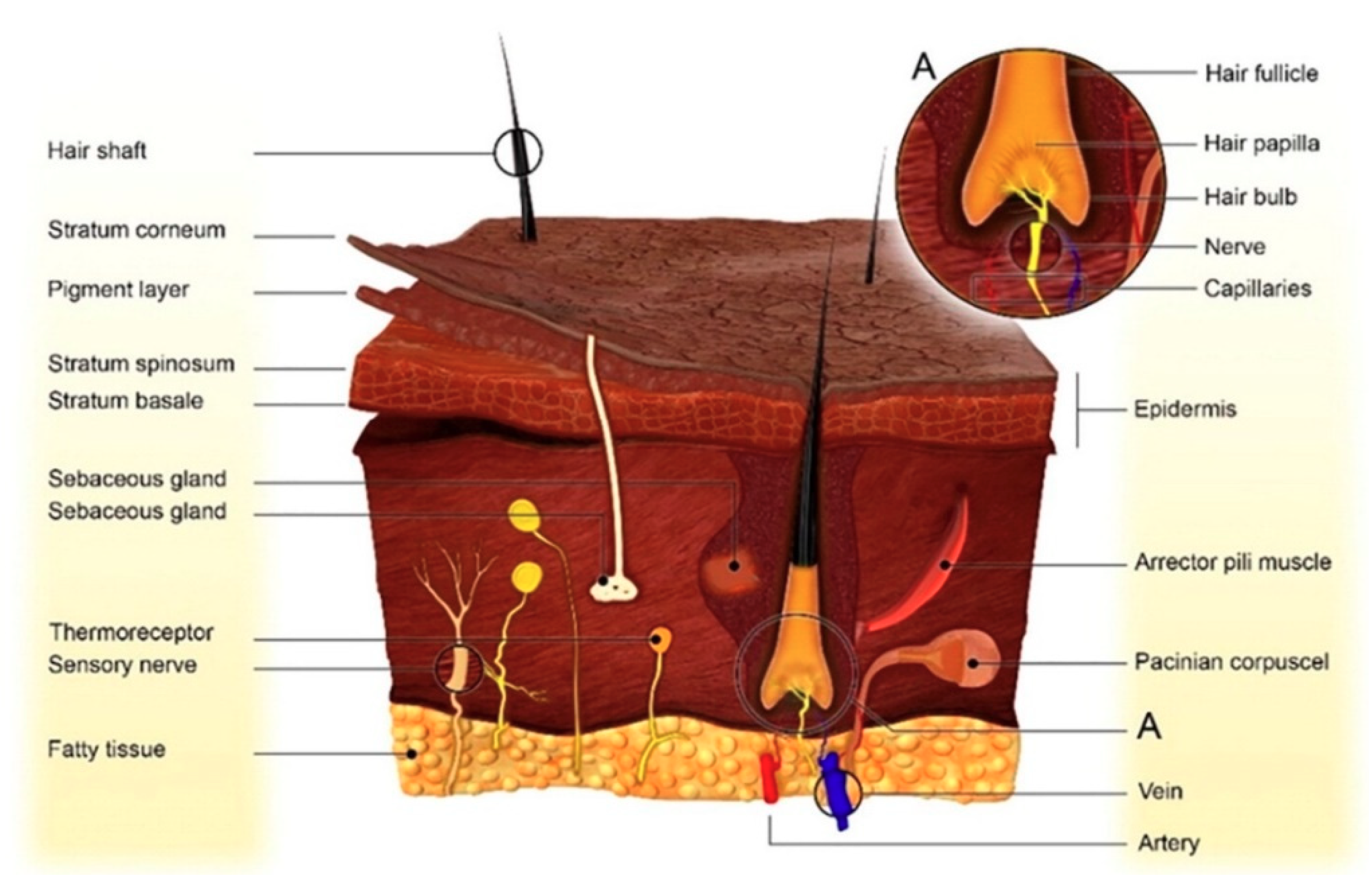 Pharmaceuticals 13 00167 g002