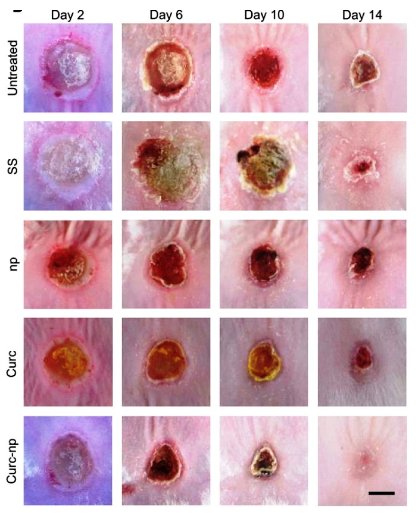 Pharmaceuticals 13 00167 g005