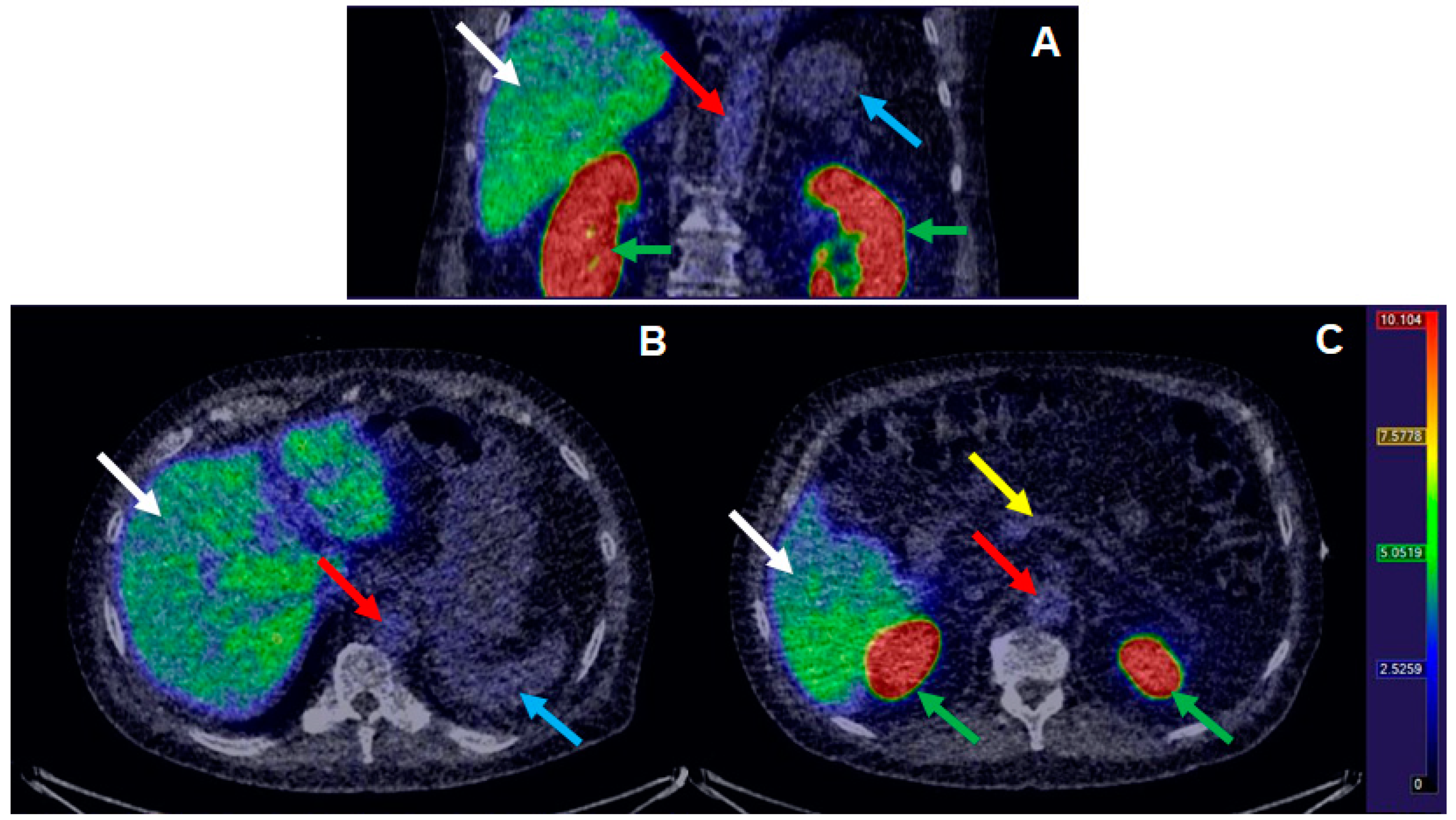 Pharmaceuticals 13 00176 g007