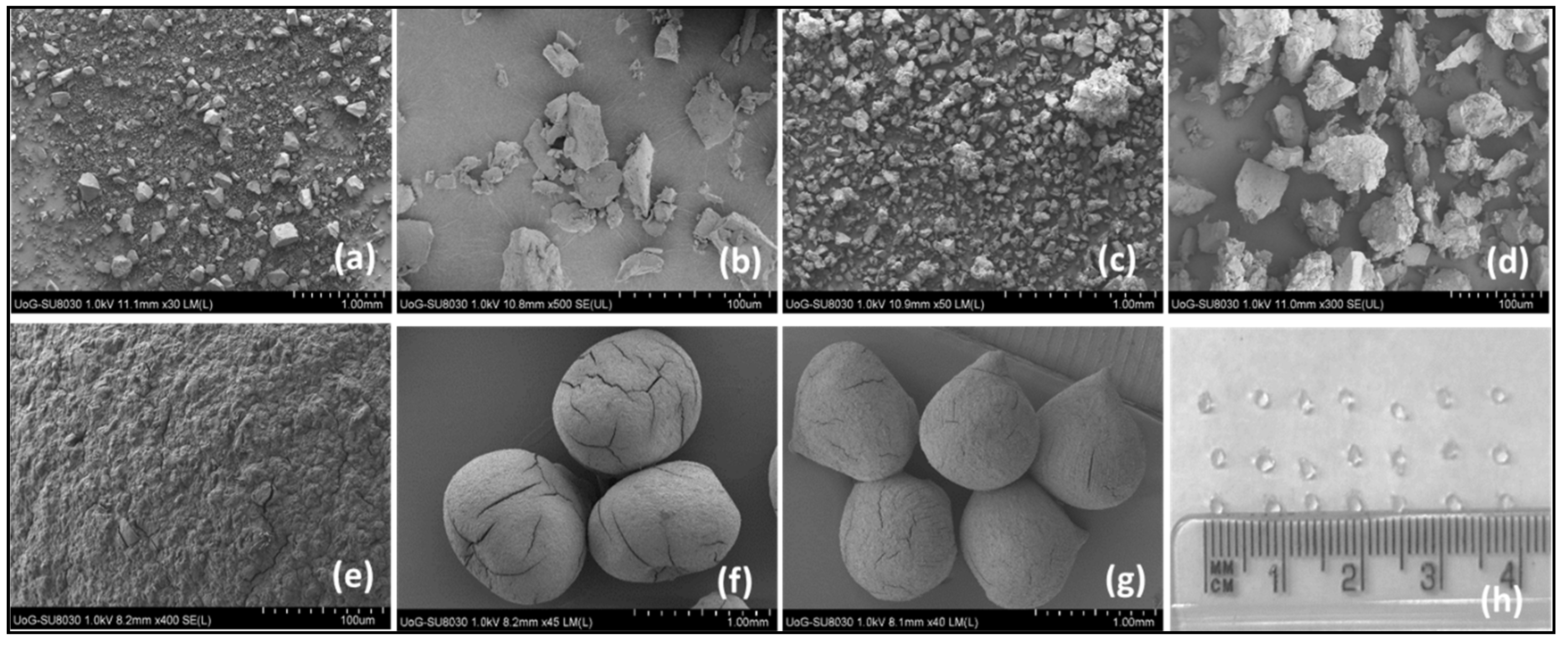 Pharmaceuticals 13 00182 g010