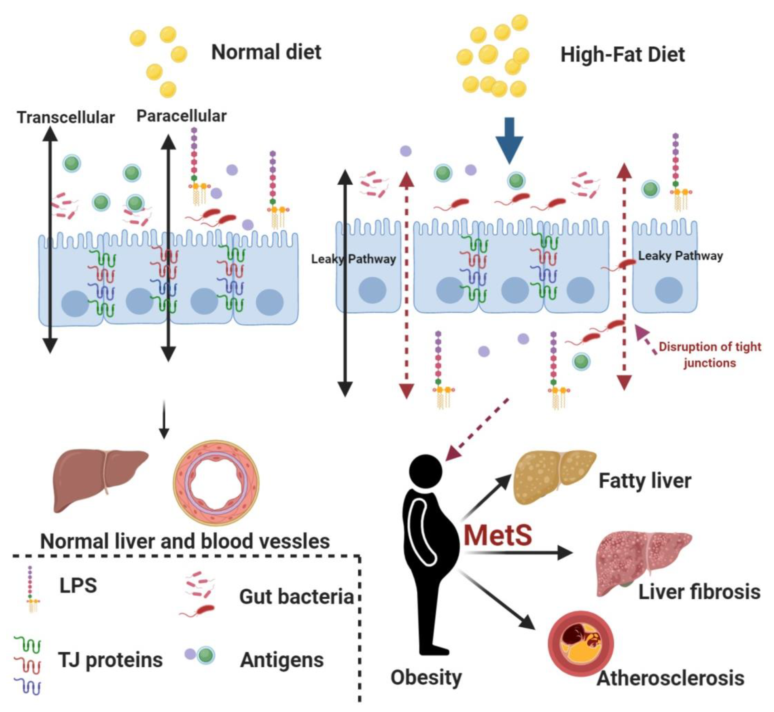 Pharmaceuticals 13 00190 g001
