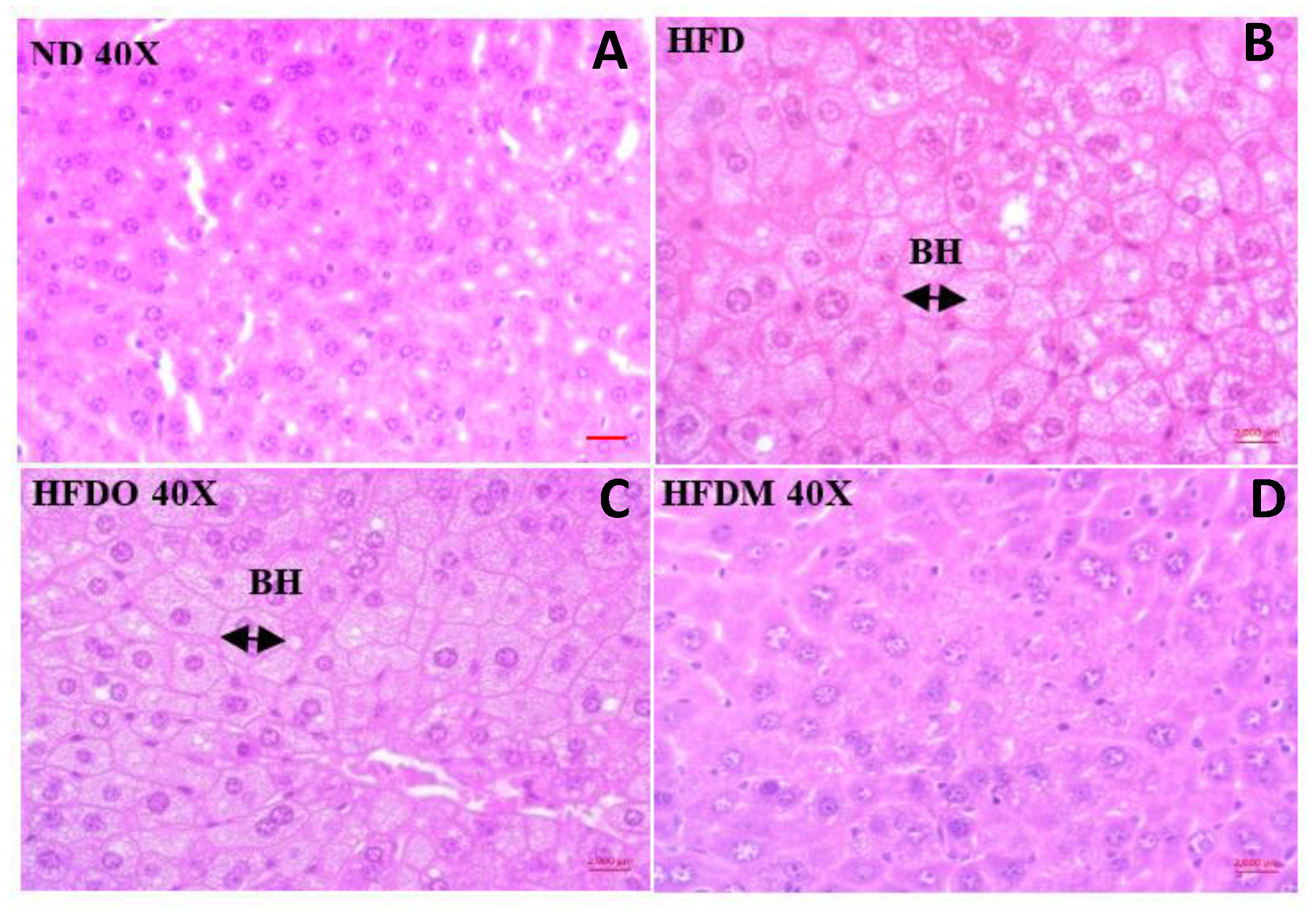 Pharmaceuticals 13 00190 g011