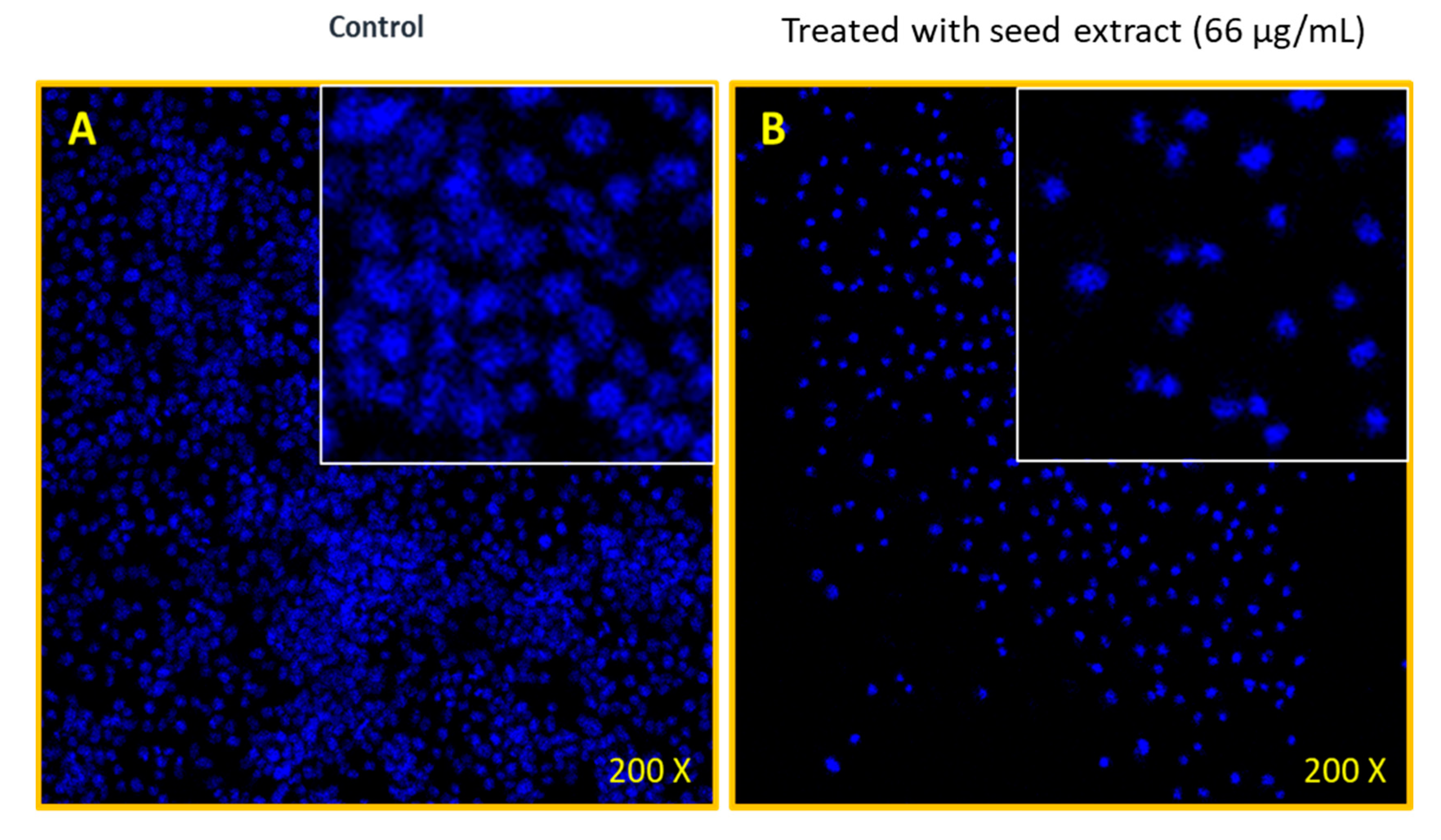 Pharmaceuticals 13 00193 g005