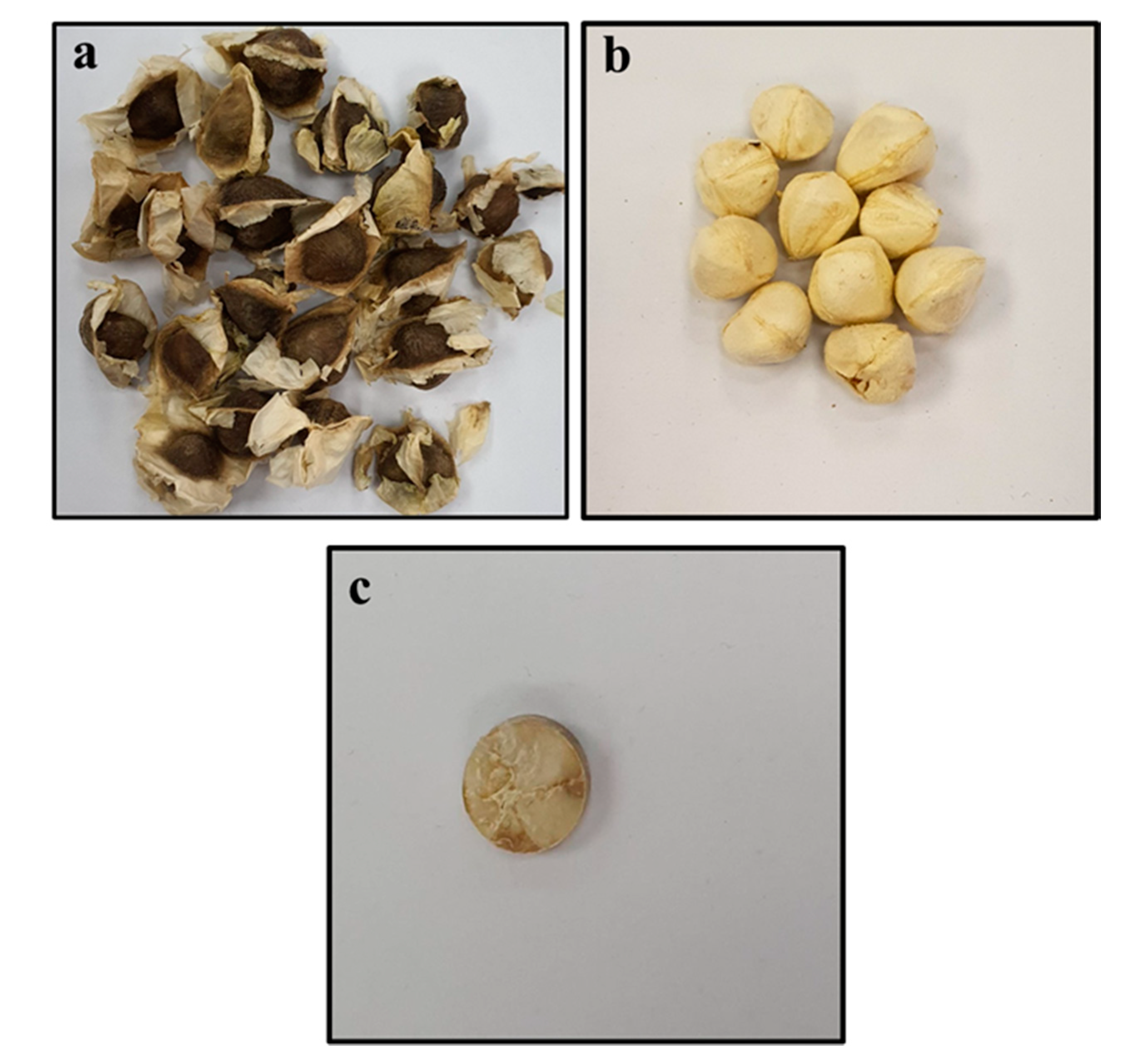 Pharmaceuticals 13 00193 g009