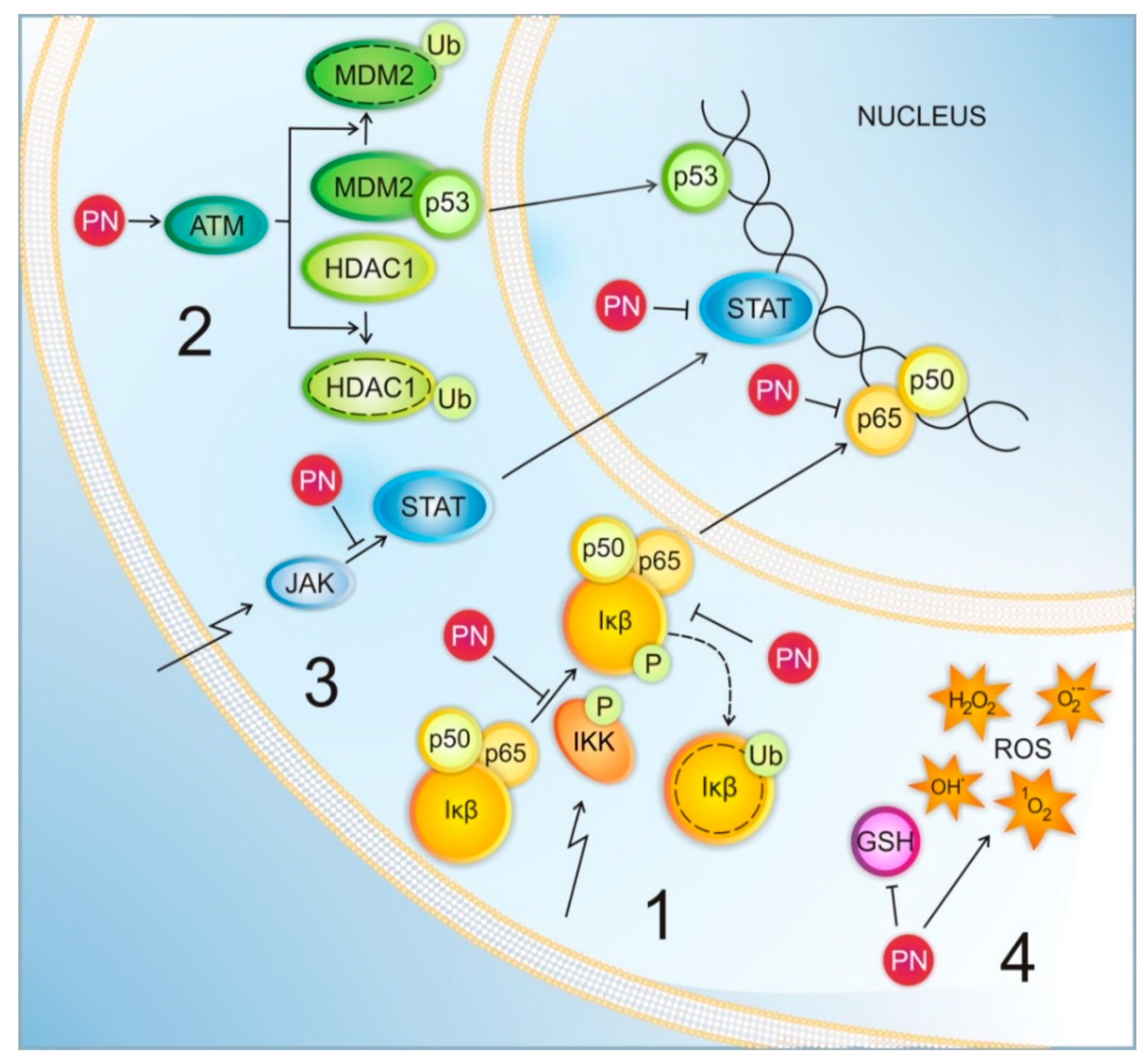 Pharmaceuticals 13 00194 g002