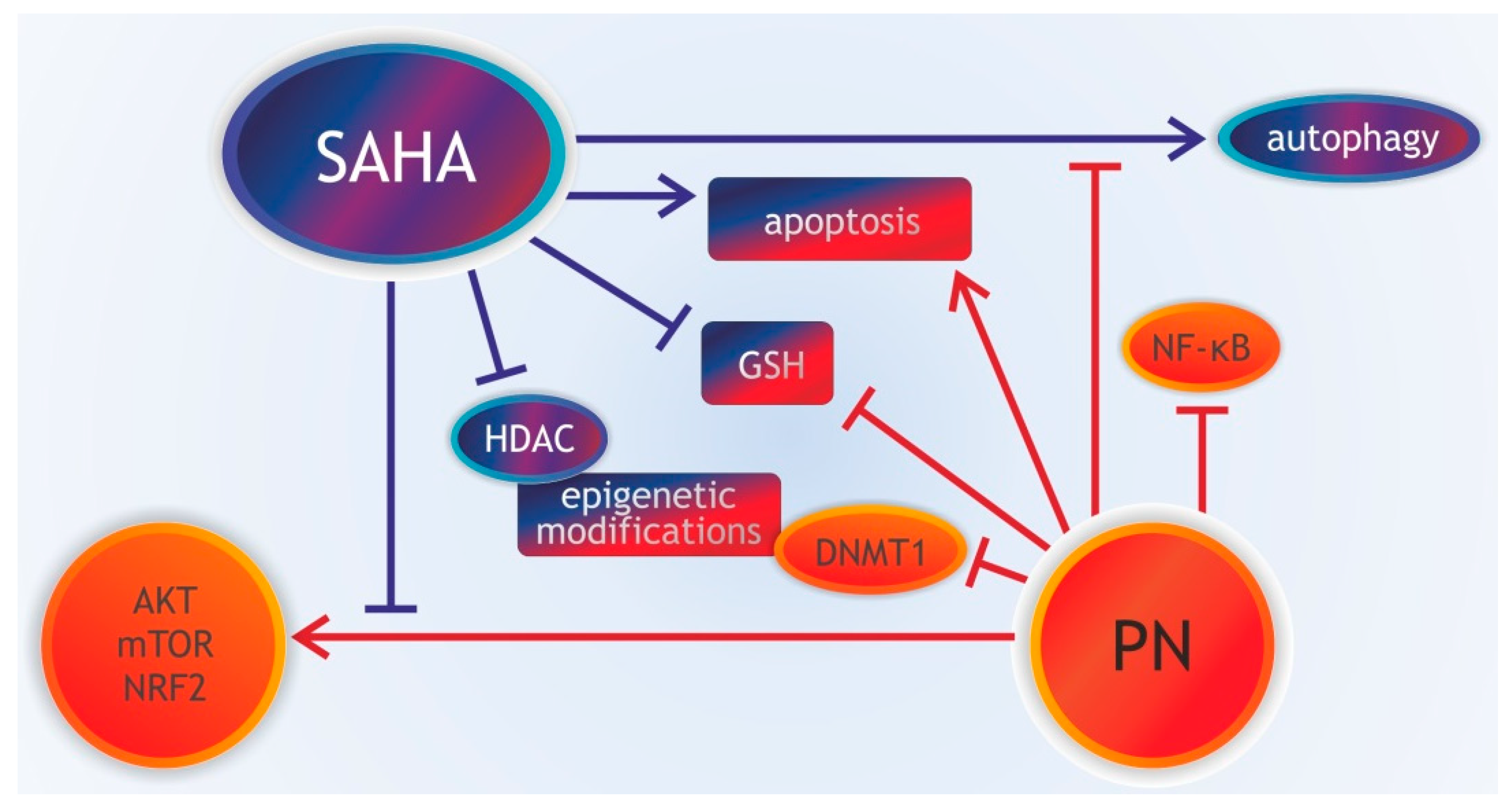Pharmaceuticals 13 00194 g003