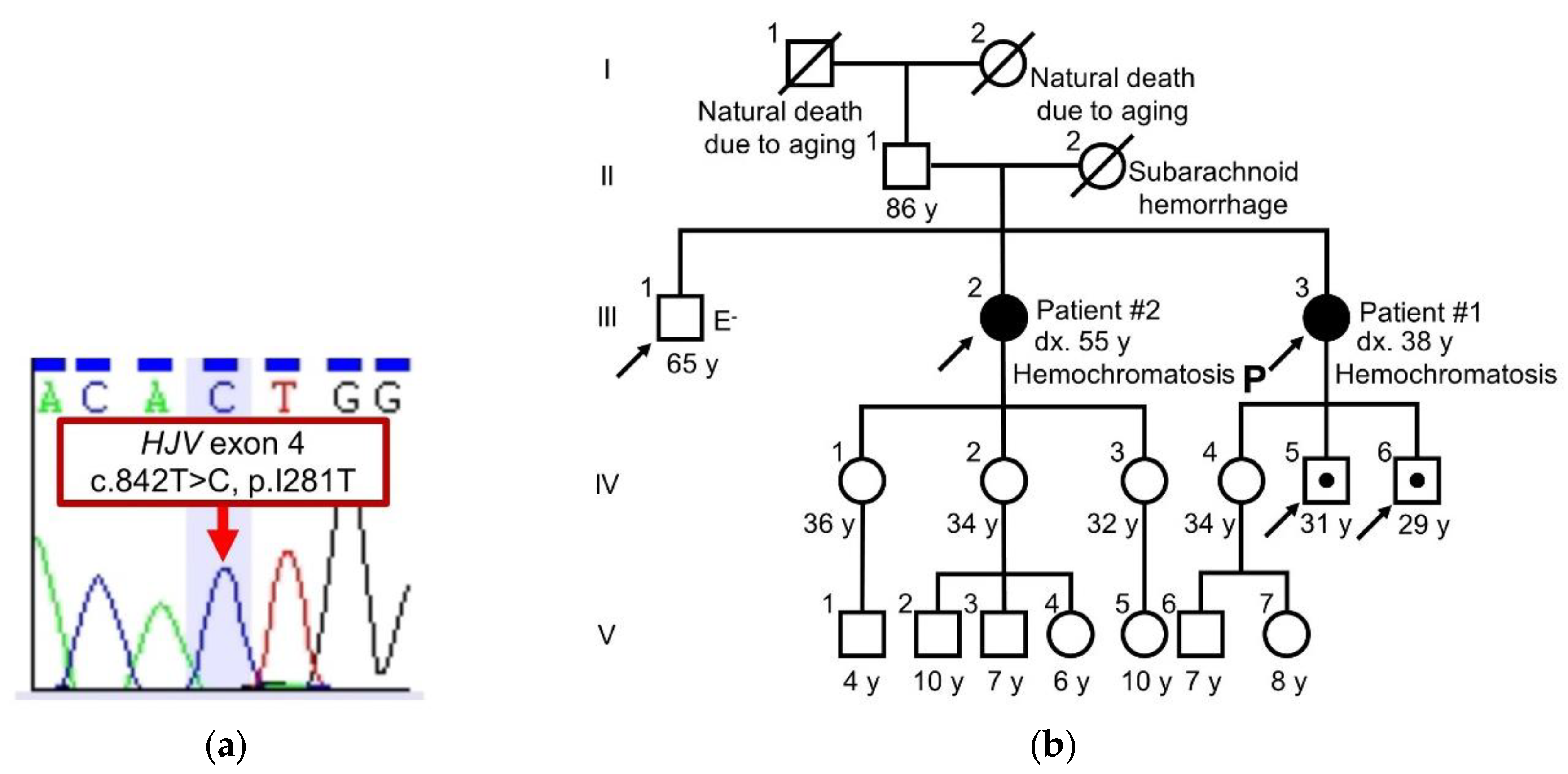 Pharmaceuticals 13 00195 g001