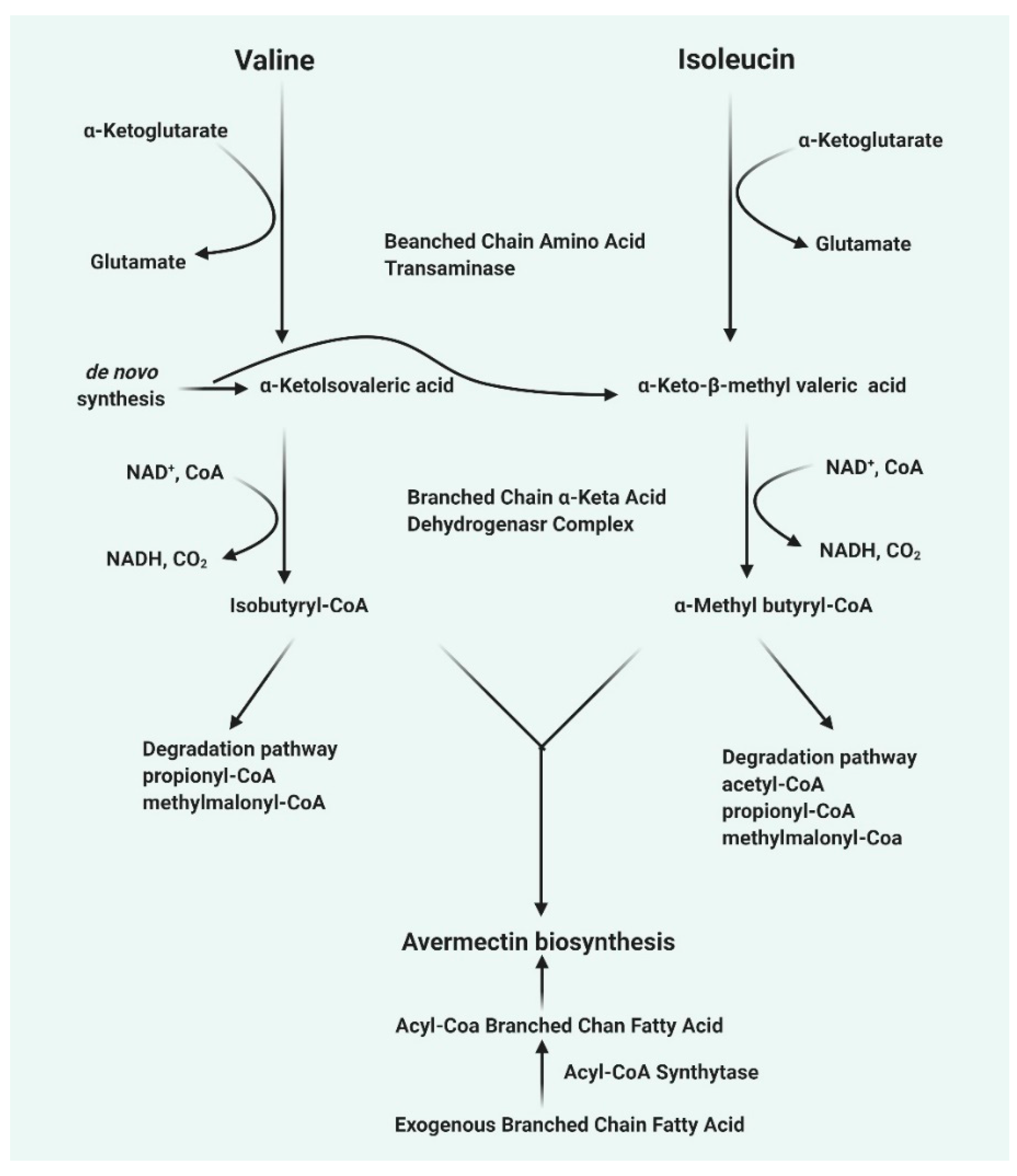 Pharmaceuticals 13 00196 g001