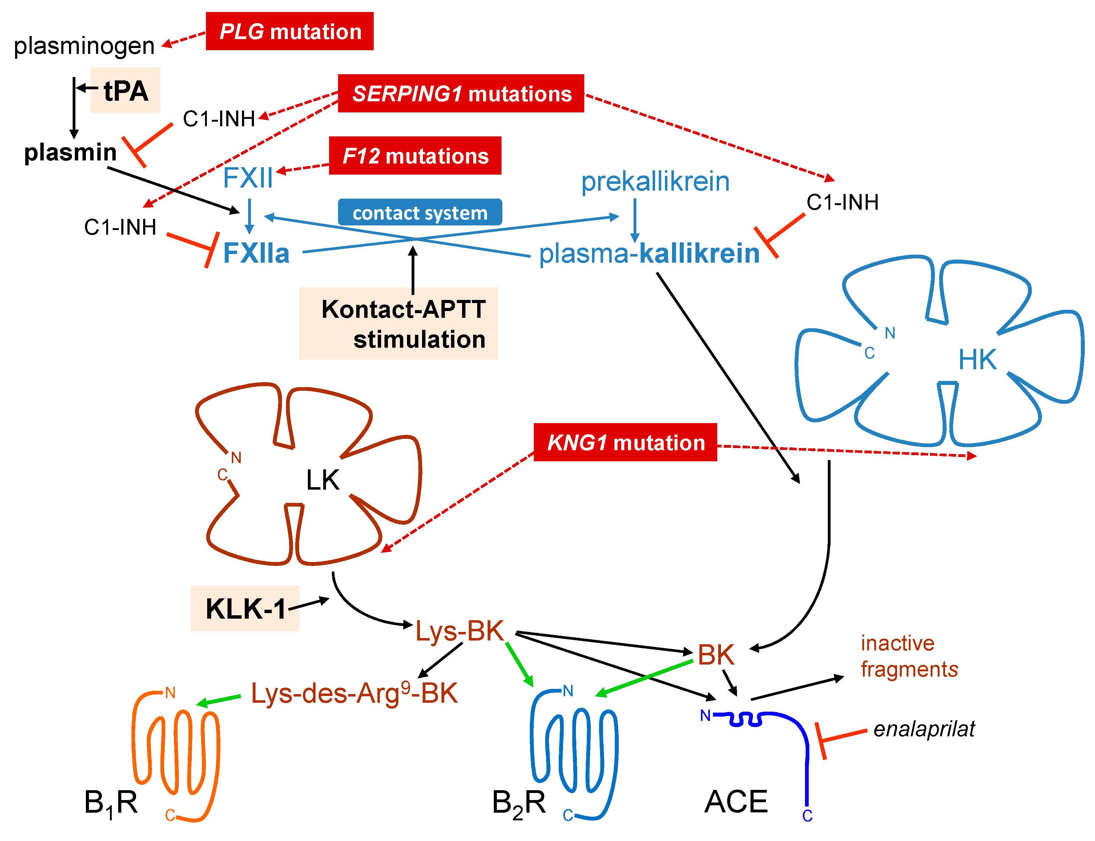 Pharmaceuticals 13 00201 g001