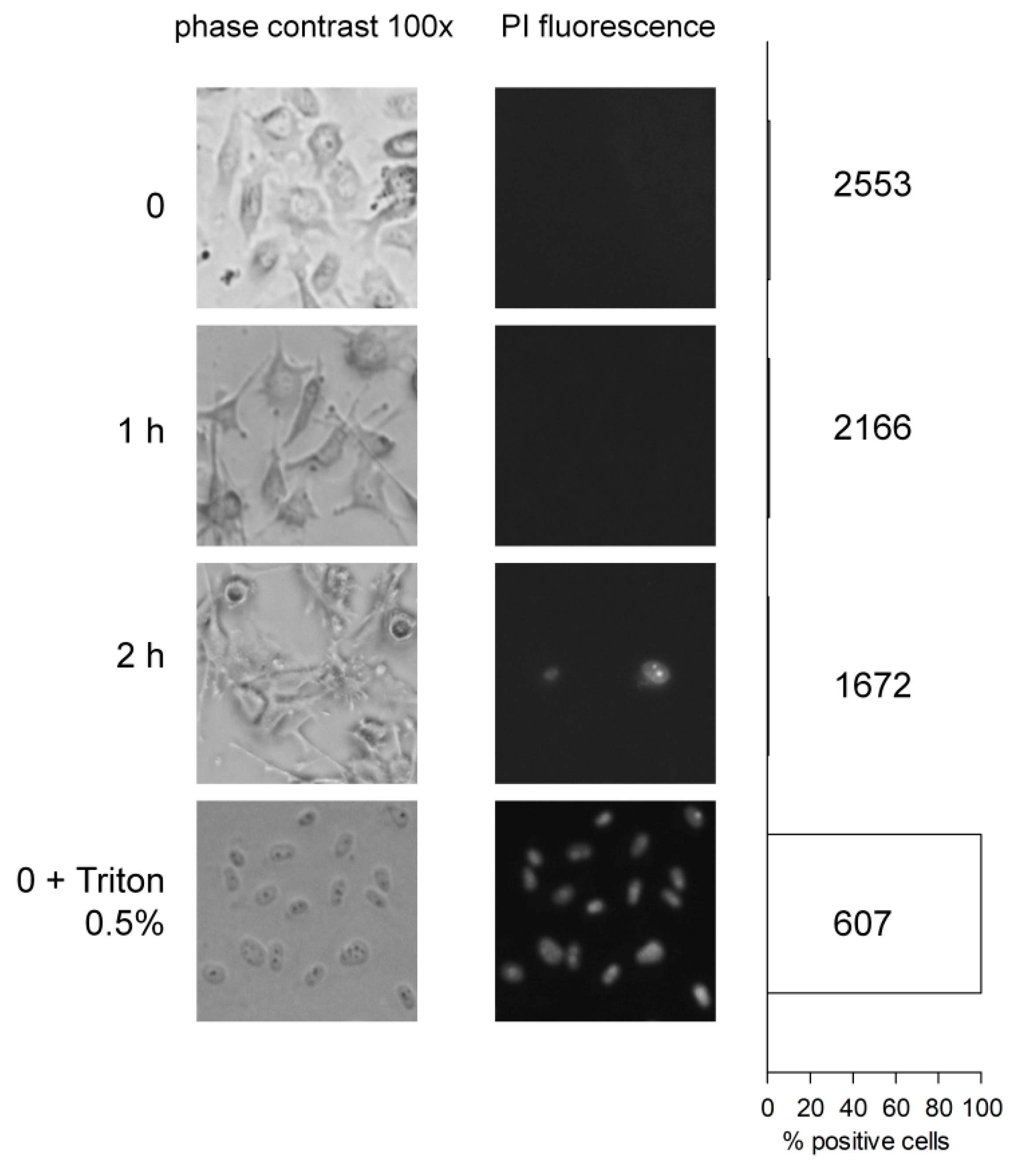 Pharmaceuticals 13 00201 g004