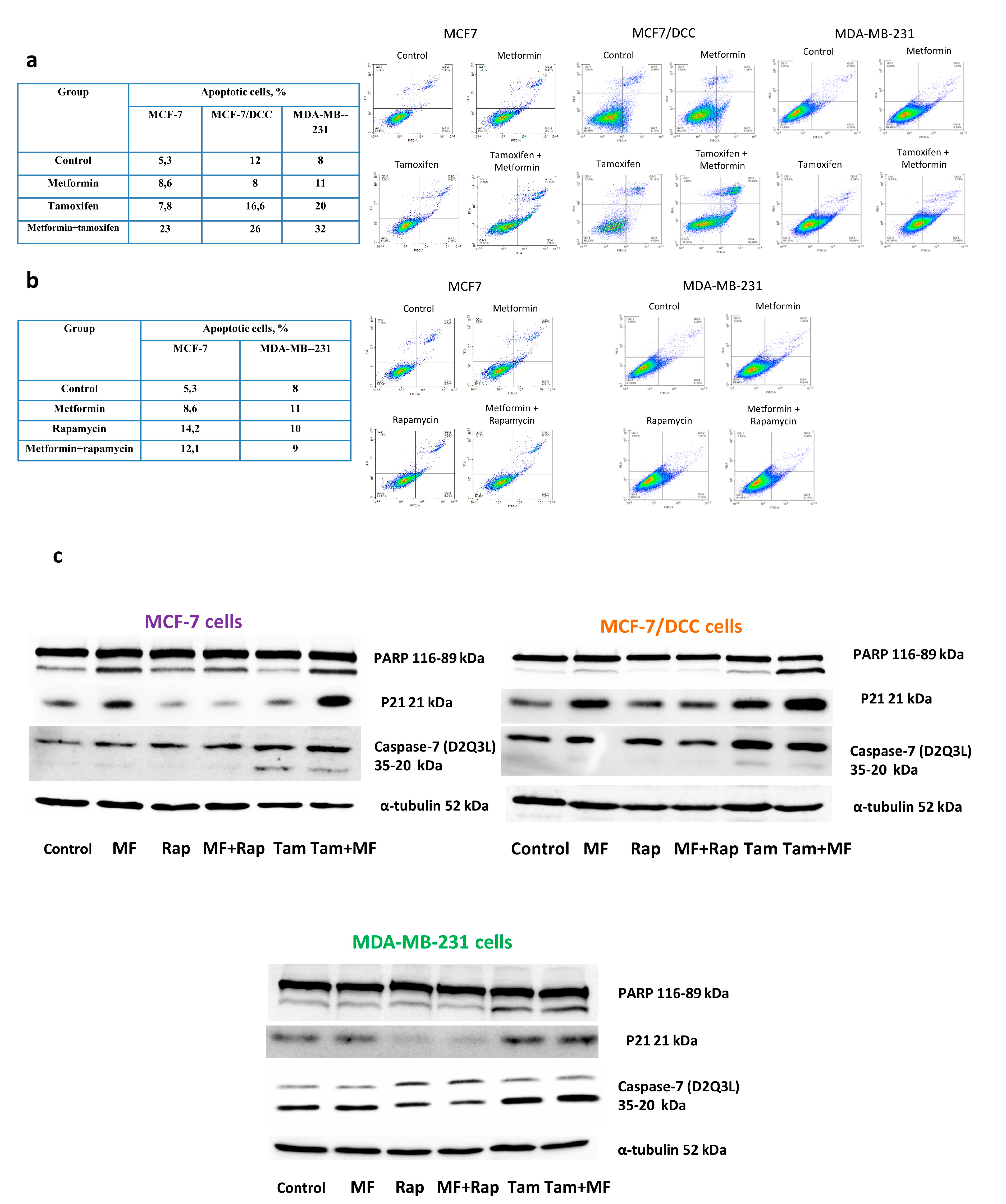 Pharmaceuticals 13 00206 g008