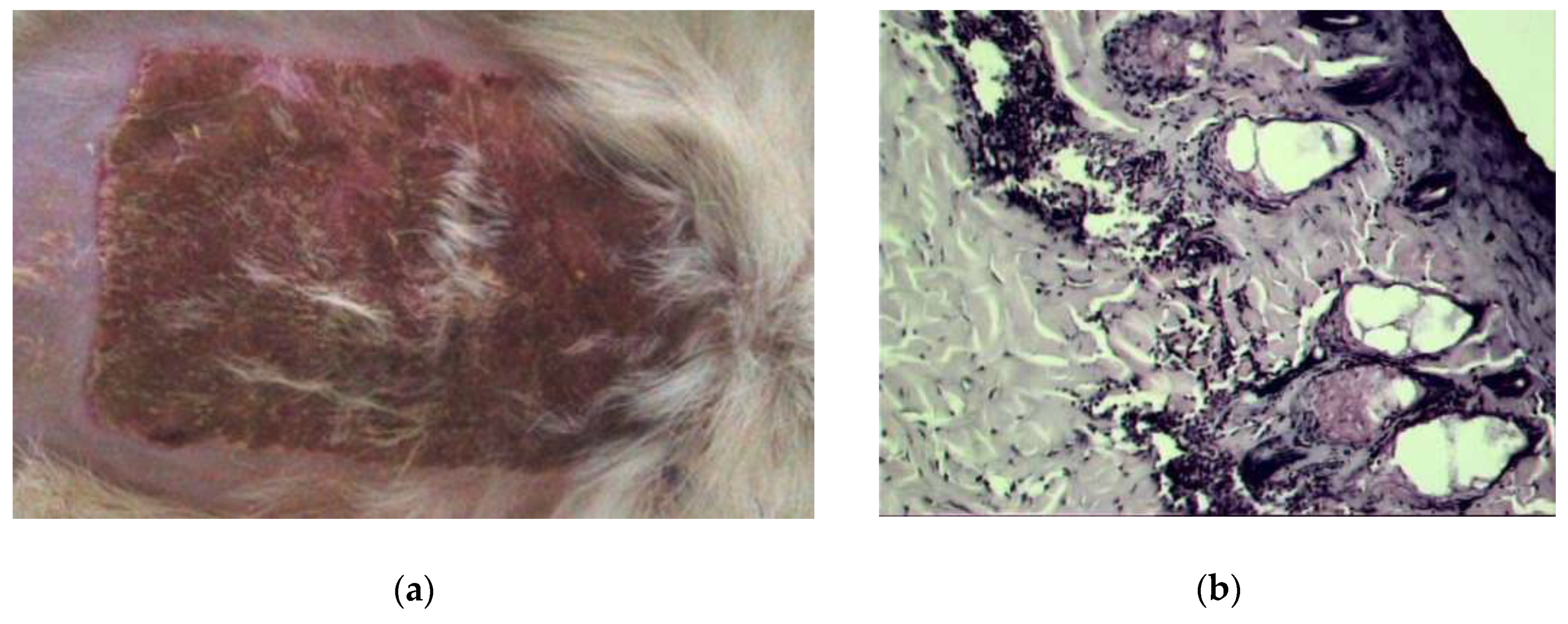 Pharmaceuticals 13 00207 g007