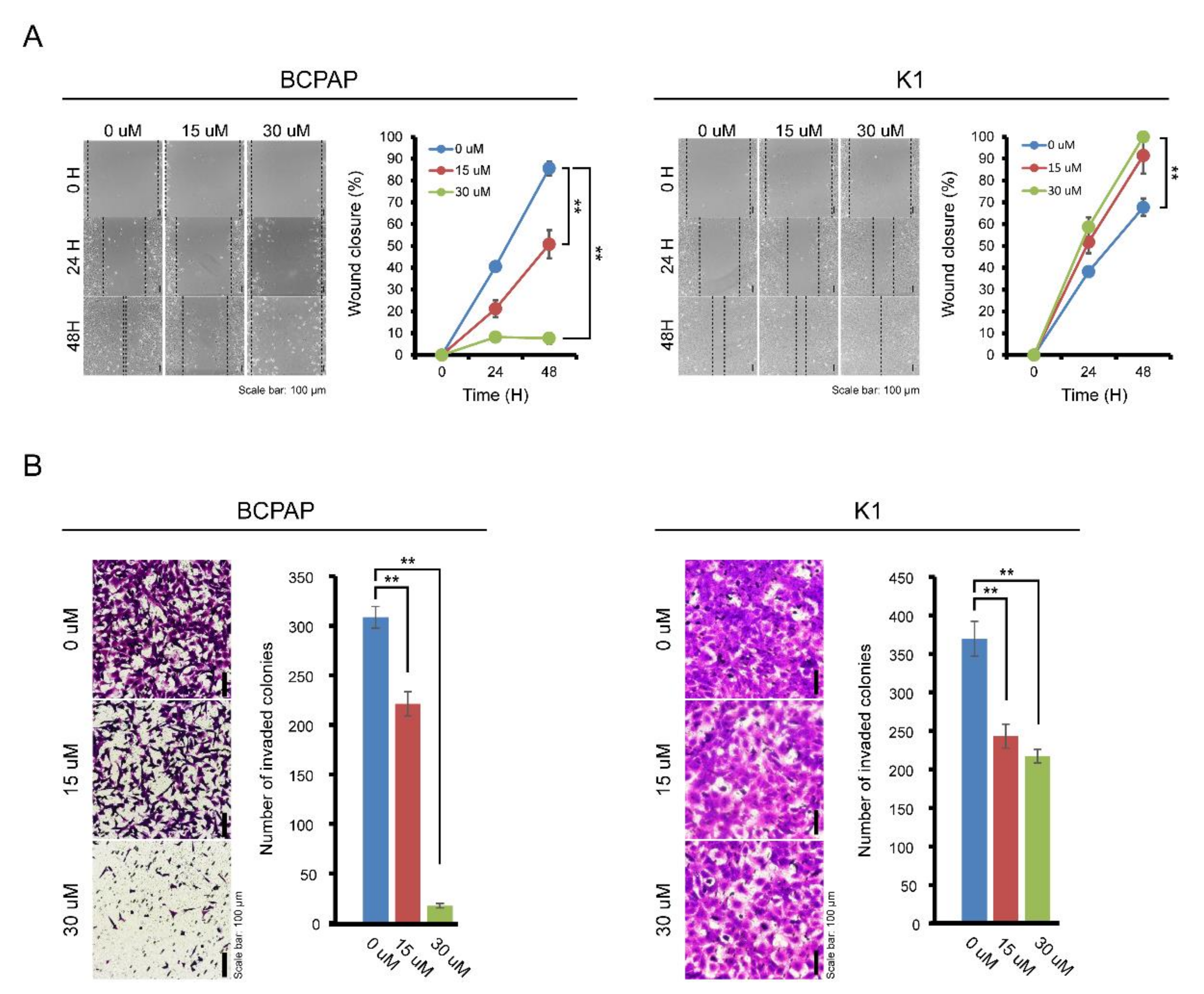 Pharmaceuticals 13 00208 g003