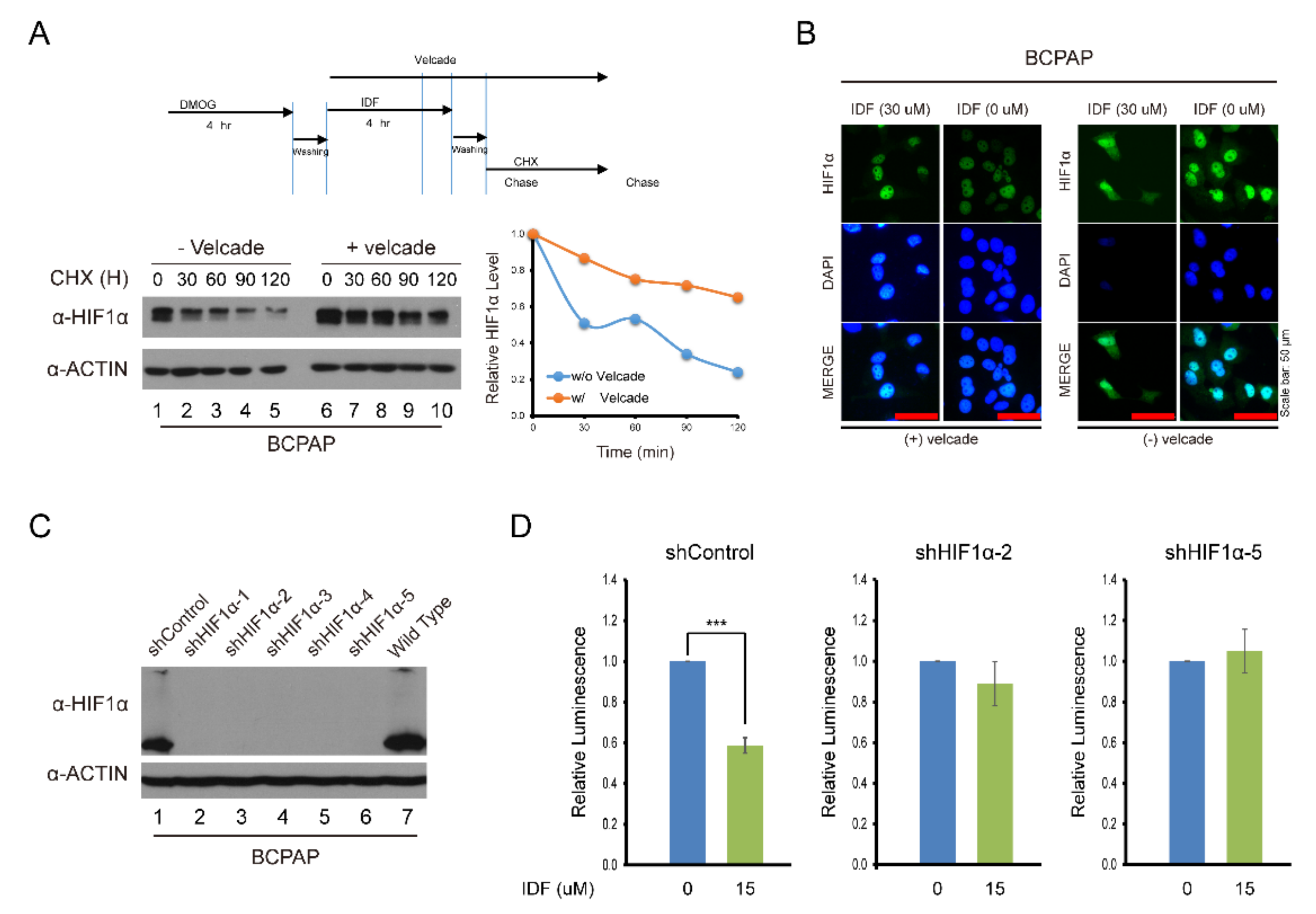 Pharmaceuticals 13 00208 g004
