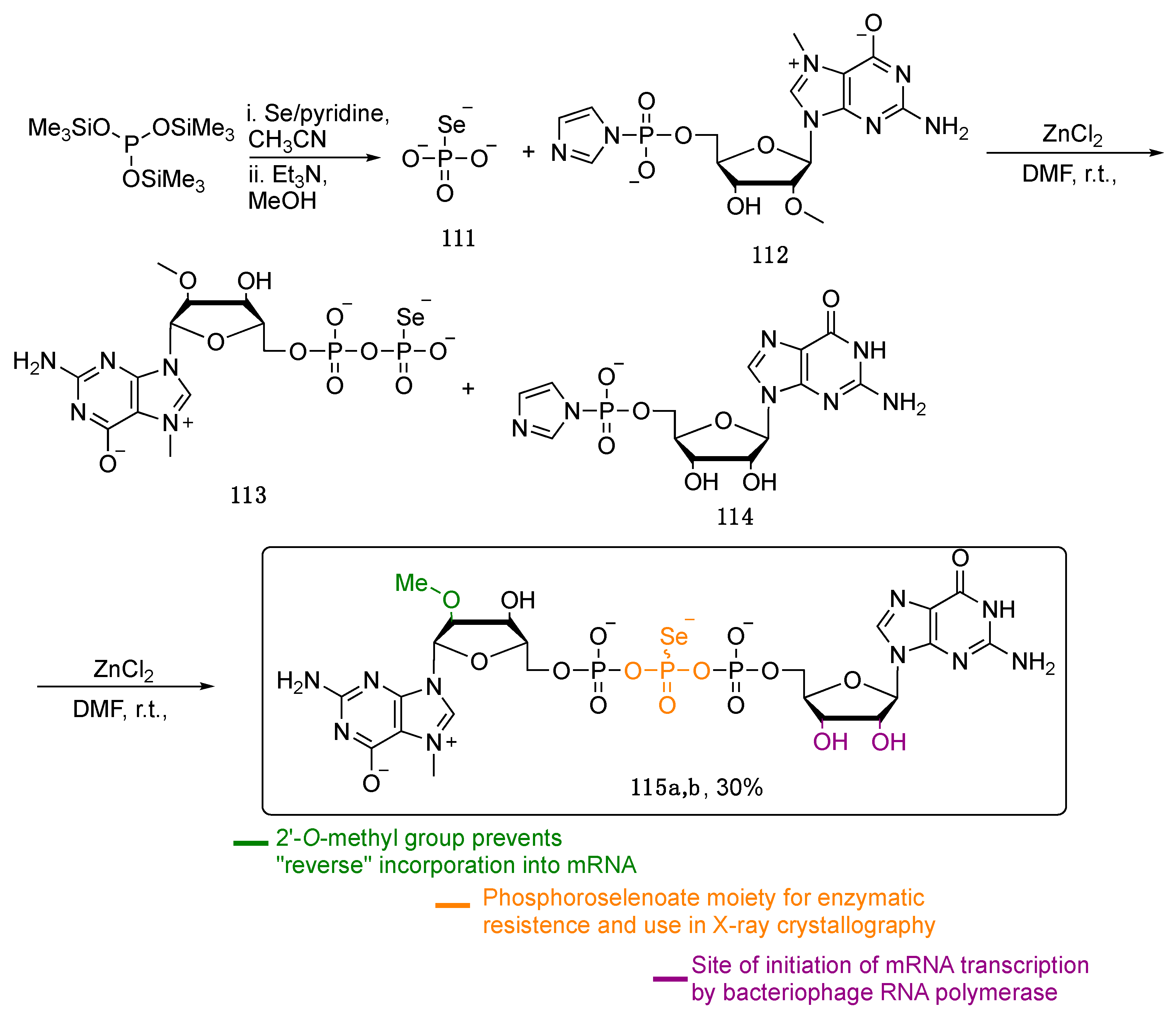 Pharmaceuticals 13 00211 sch019 Pharmaceuticals 13 00211 sch019