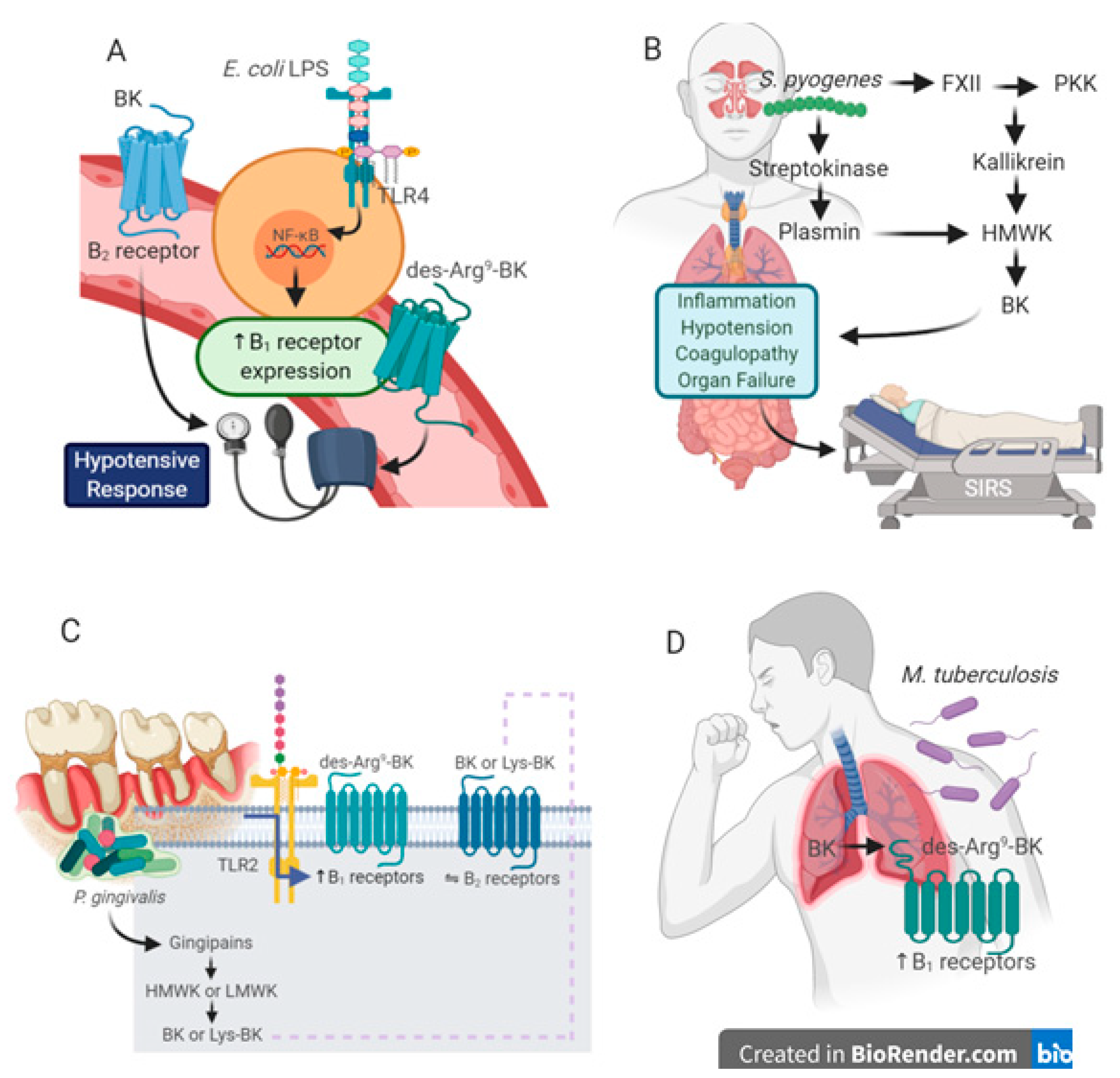 Pharmaceuticals 13 00215 g001