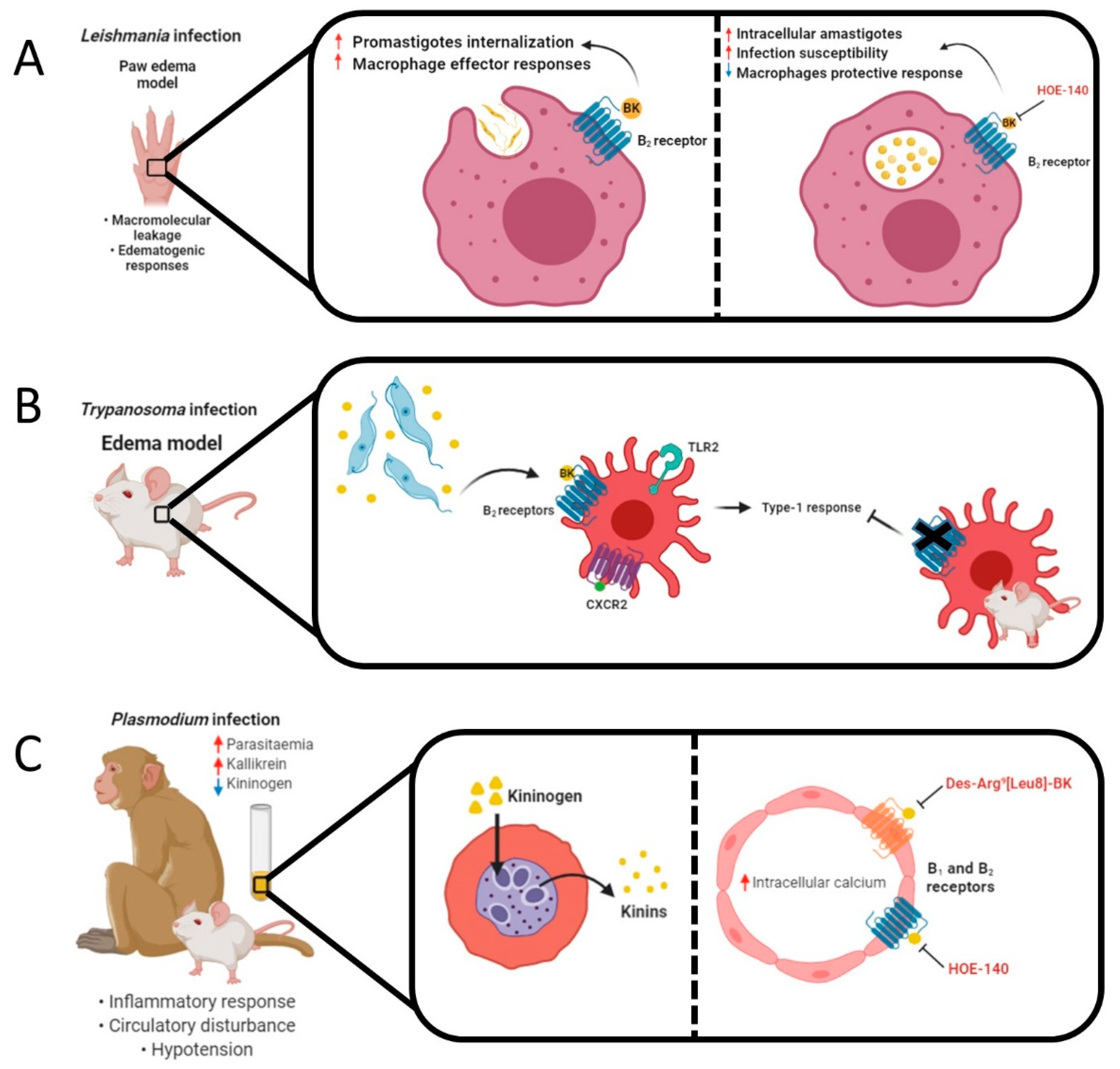Pharmaceuticals 13 00215 g003a